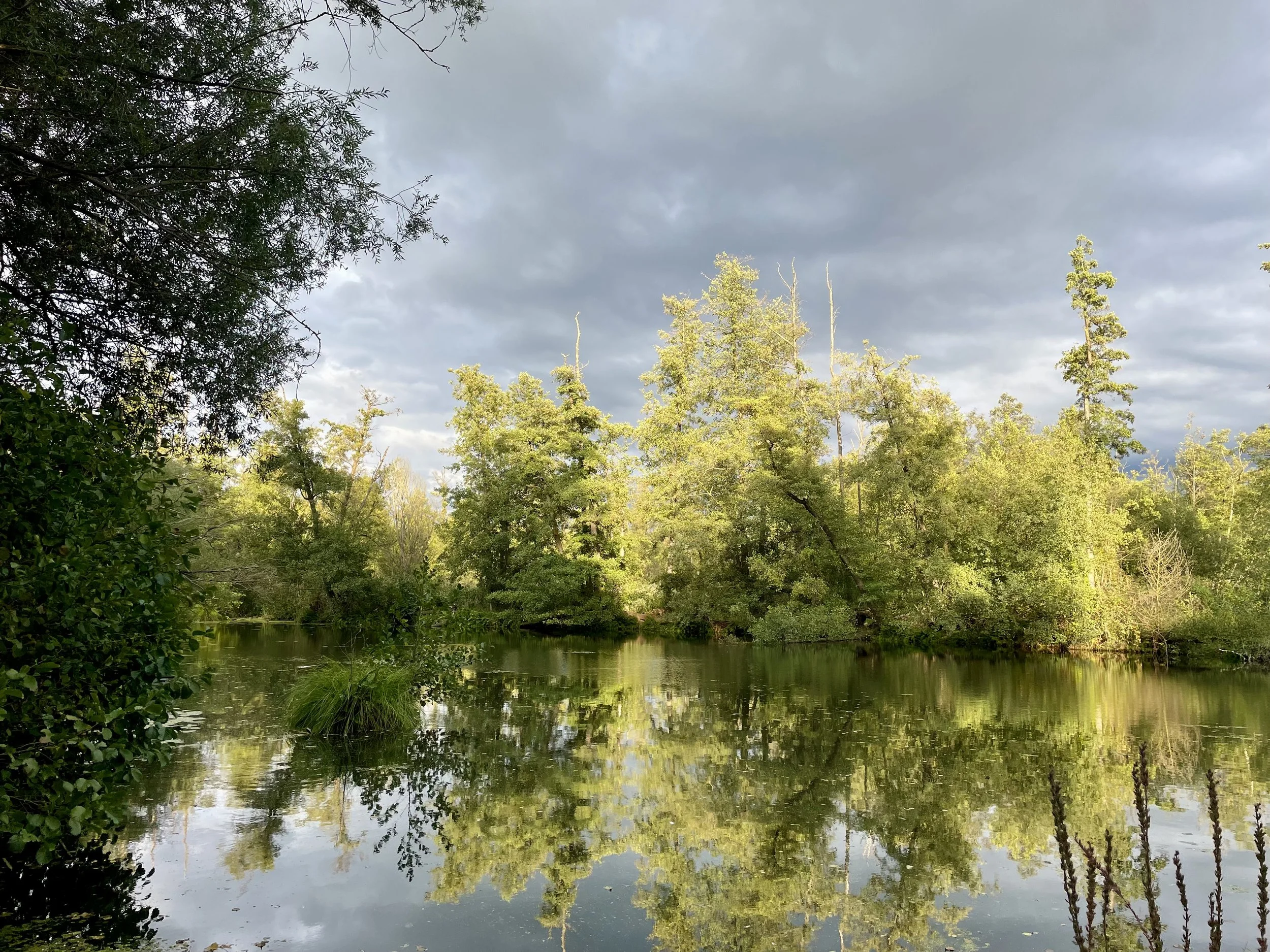 Die Wublitz im Grünen – ein stiller Abschnitt im Wald