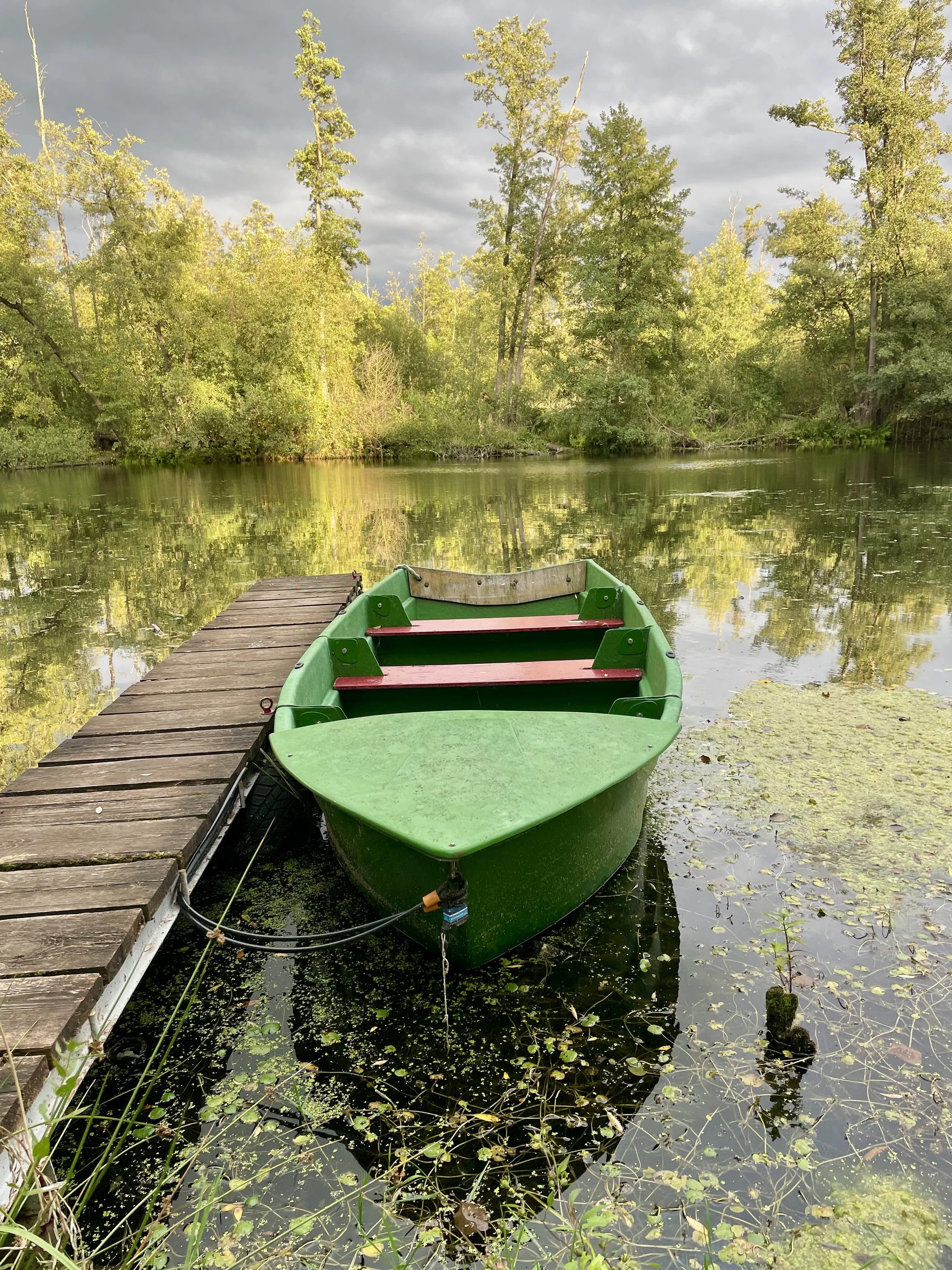 Die Wublitz im Grünen – ein stiller Abschnitt im Wald