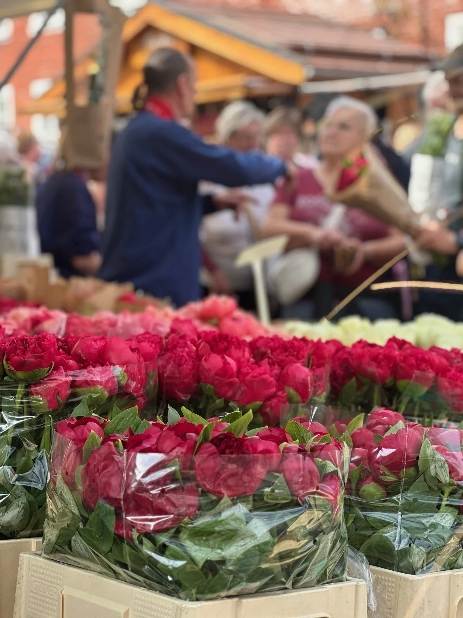 Wochenmarkt am Nauener Tor in Potsdam, jeden Samstag 9 - 16 Uhr