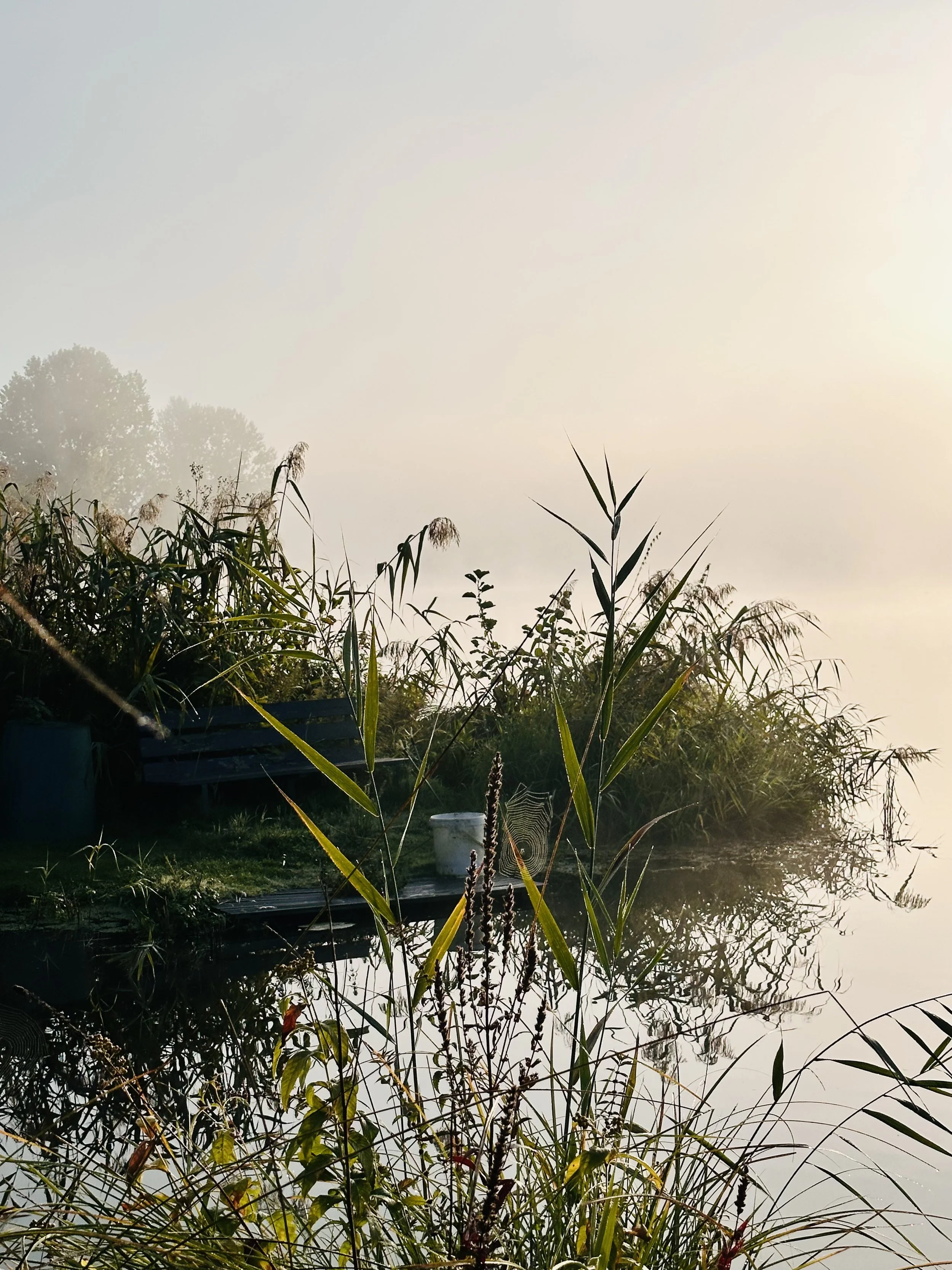 Kleiner Zugang zur Wublitz