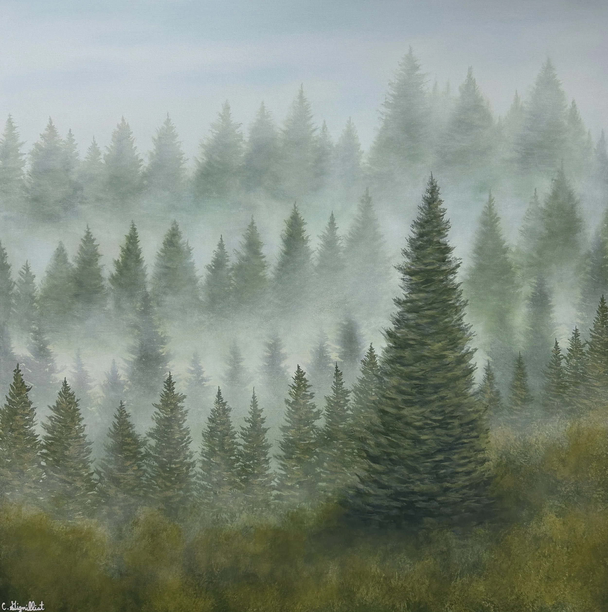 foggy treescape.jpg
