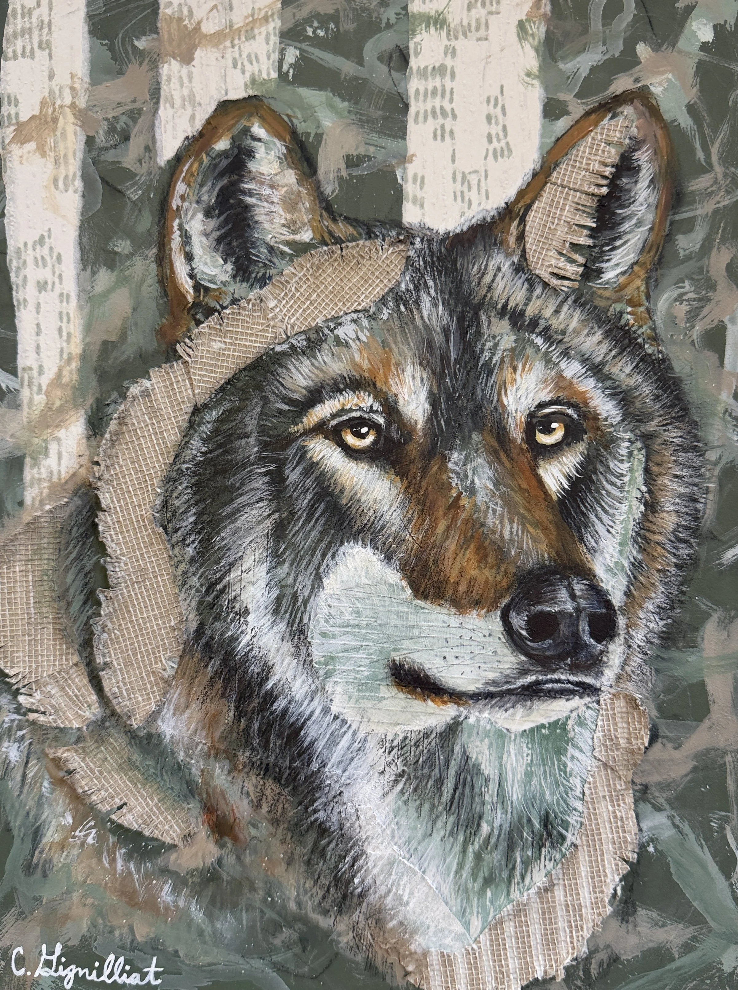Wolf Collage .jpg