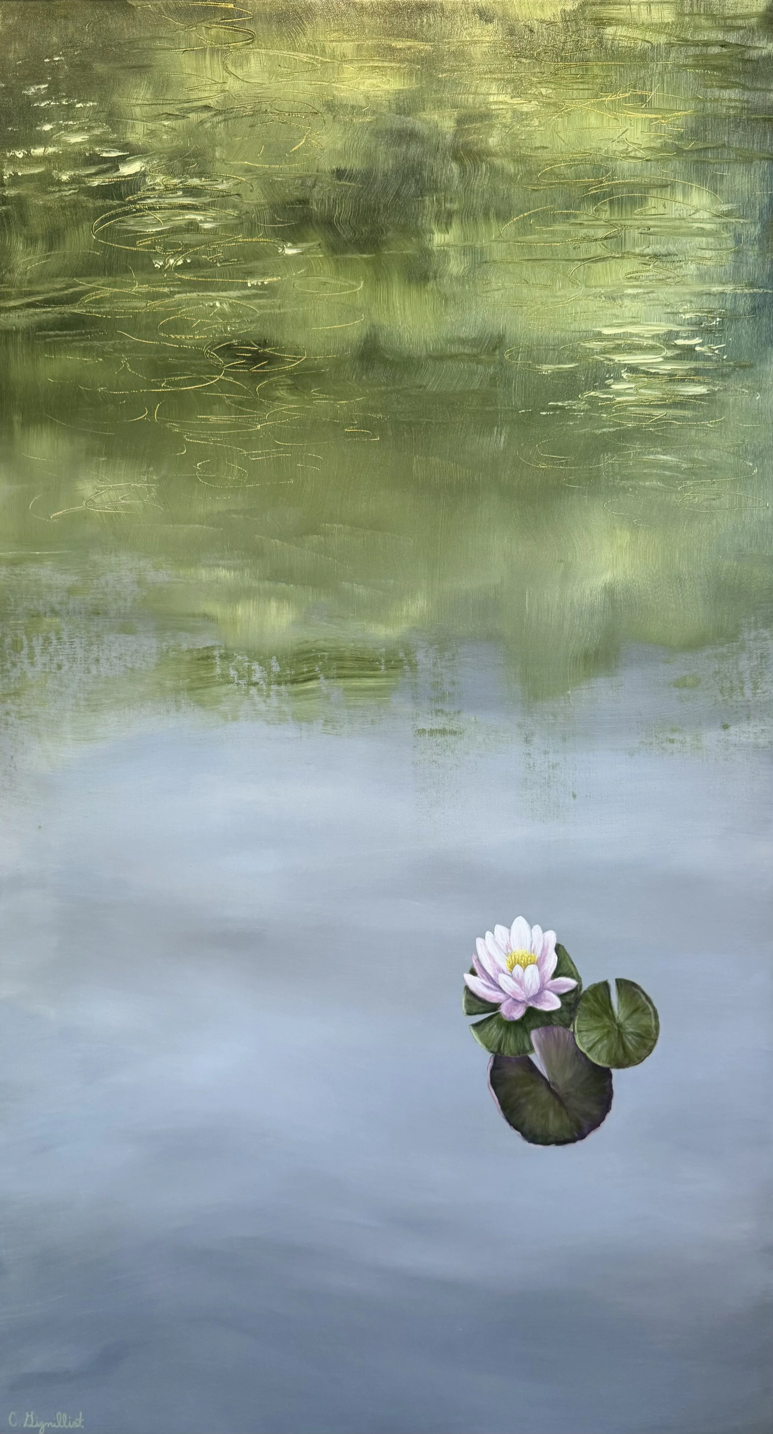 A Water Lily for Monet