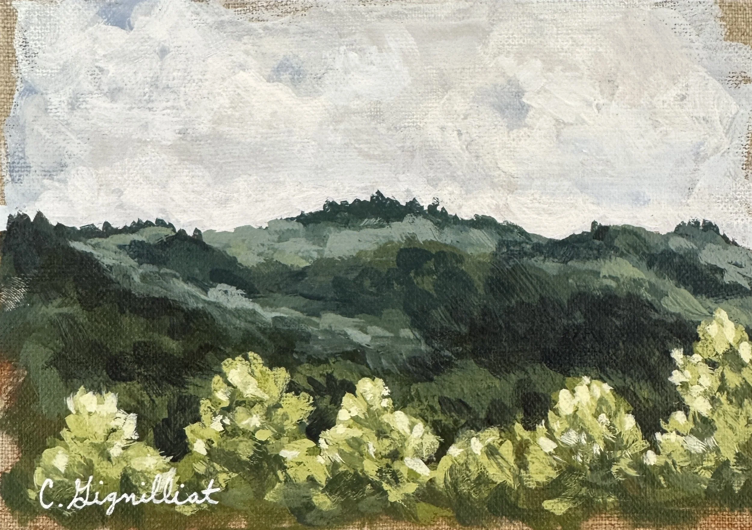 Scaly Mountain - 7_x5_, acrylic on linen panel, part of small works release_collection, $100.jpg