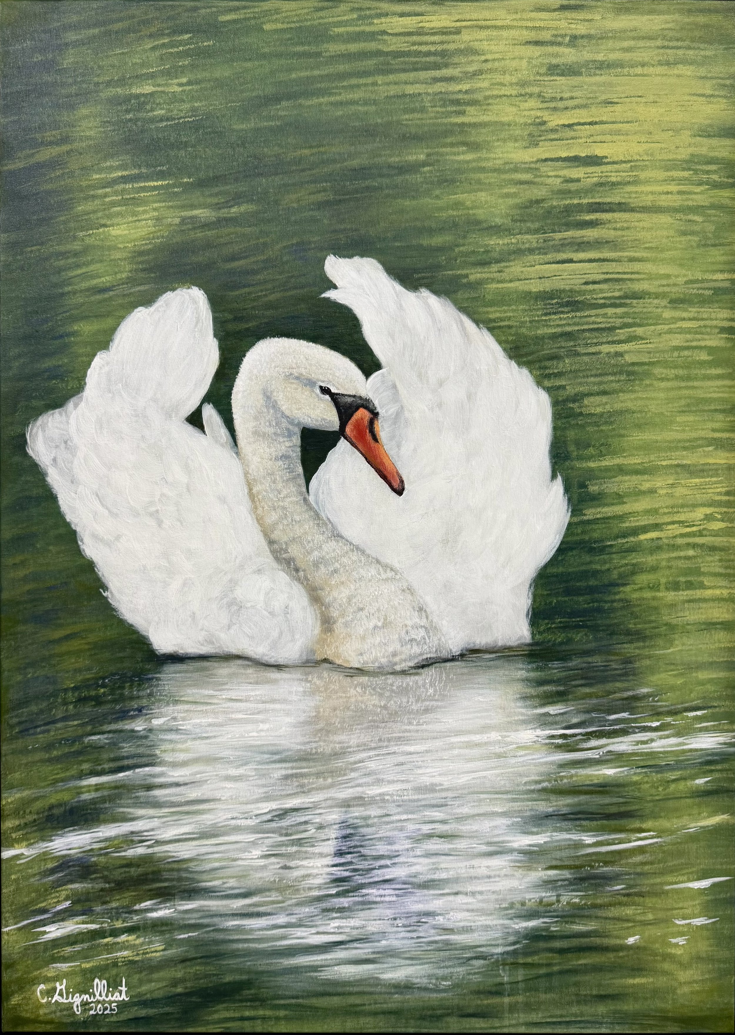 Beau Cygne - 28.25 X 39 inches