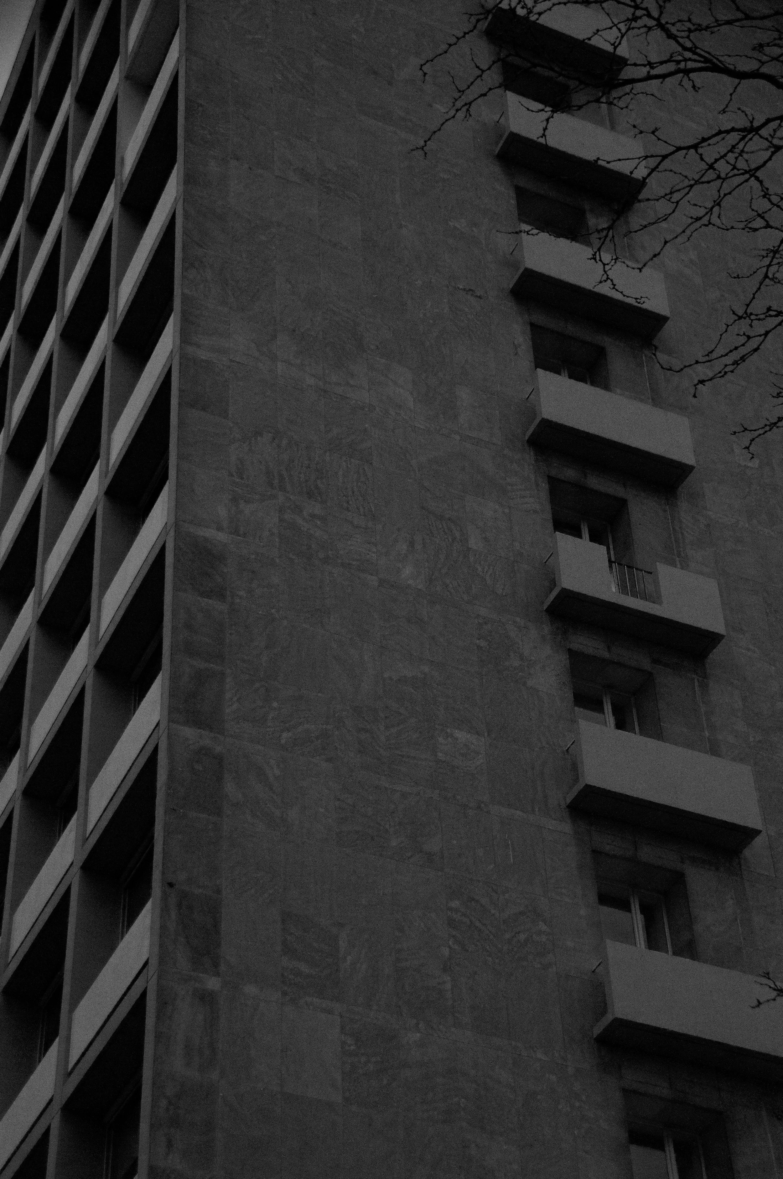 DSC_0170 copy.JPG