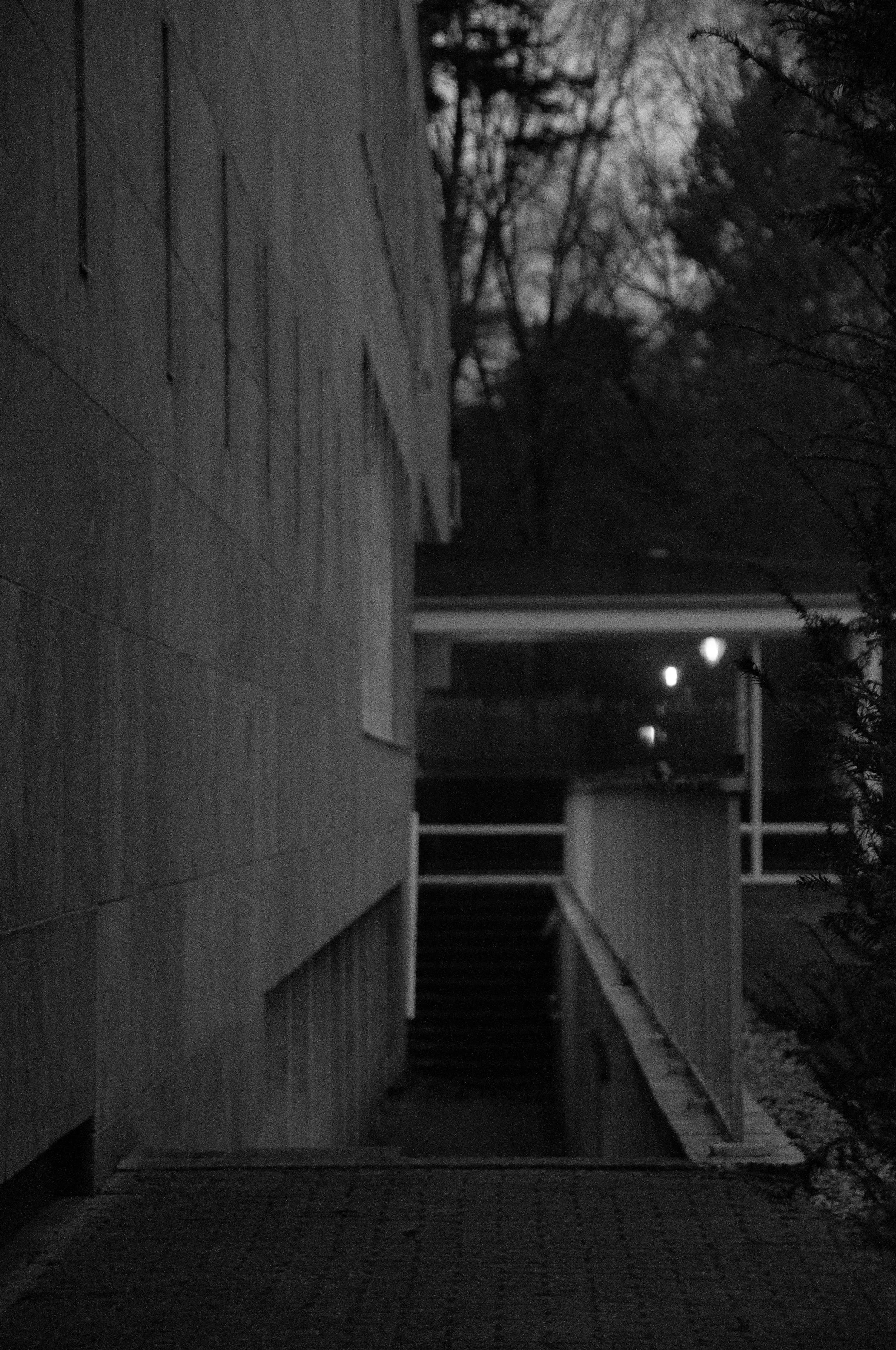DSC_0167 copy.JPG