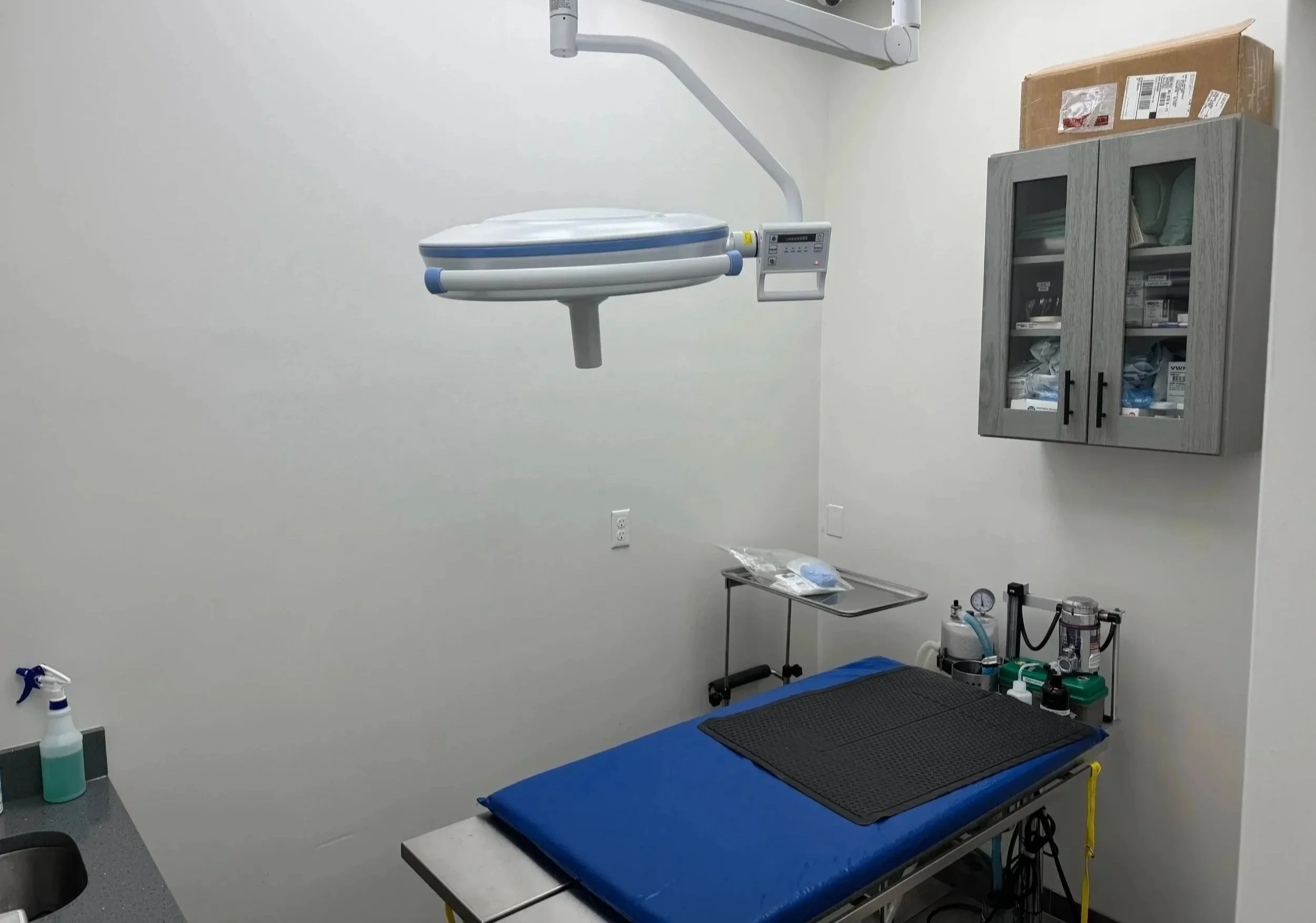 Clean veterinary treatment room with exam table and surgical lighting for soft tissue care planning in Newark, NJ.