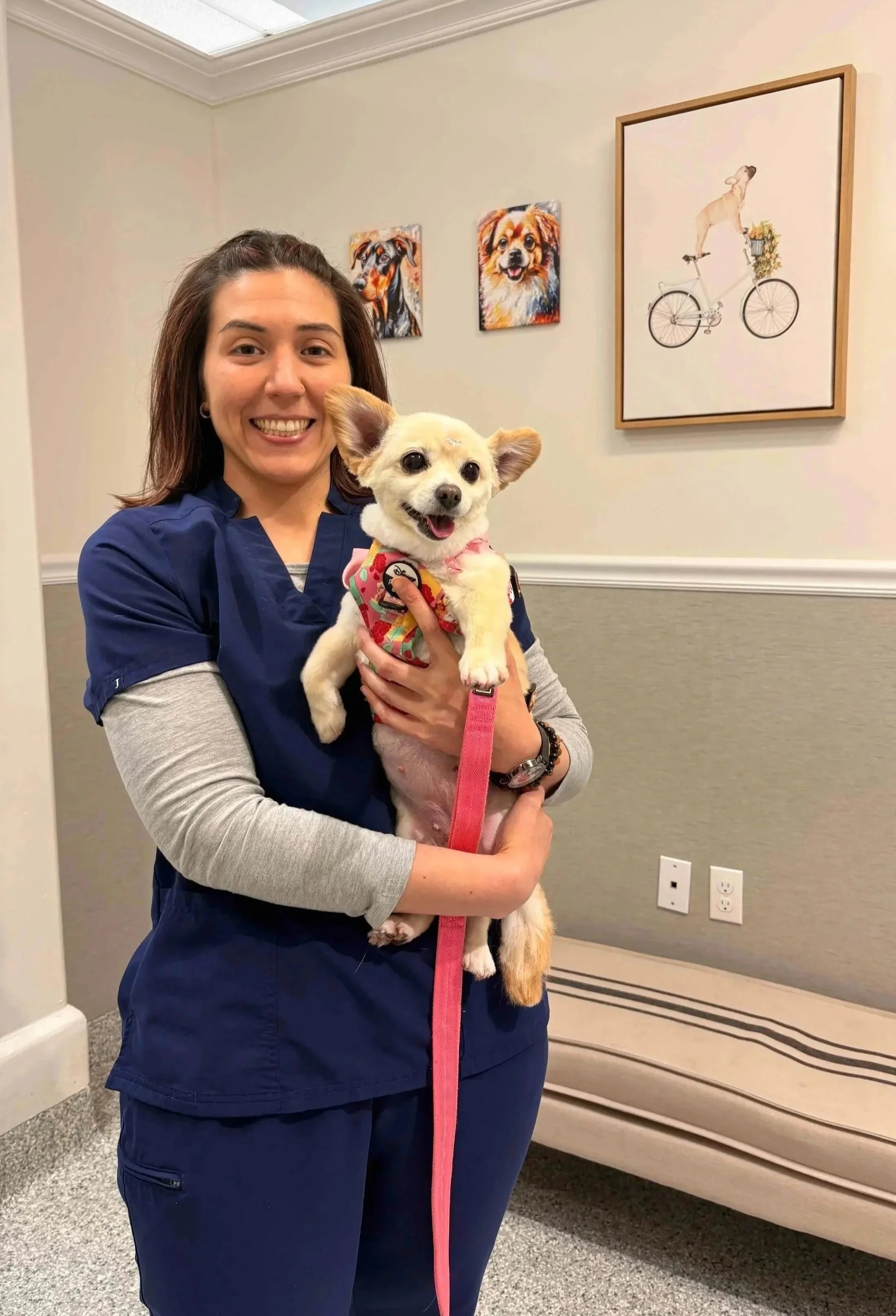 Veterinarian holding a puppy during a puppy wellness exam at Veterinarian Pet Alliance in Newark, NJ.