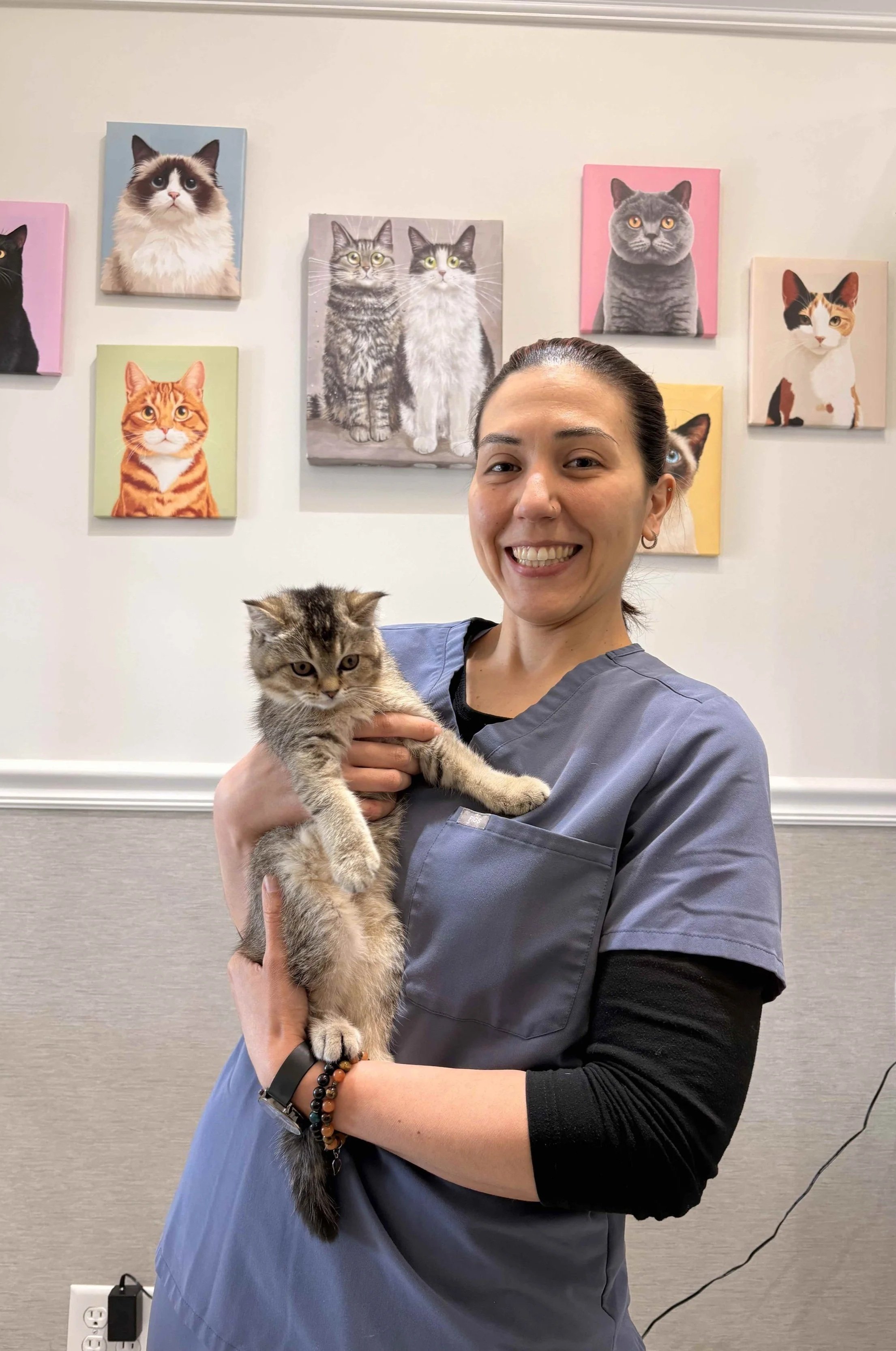Veterinary team with kitten at Veterinarian Pet Alliance in Newark NJ