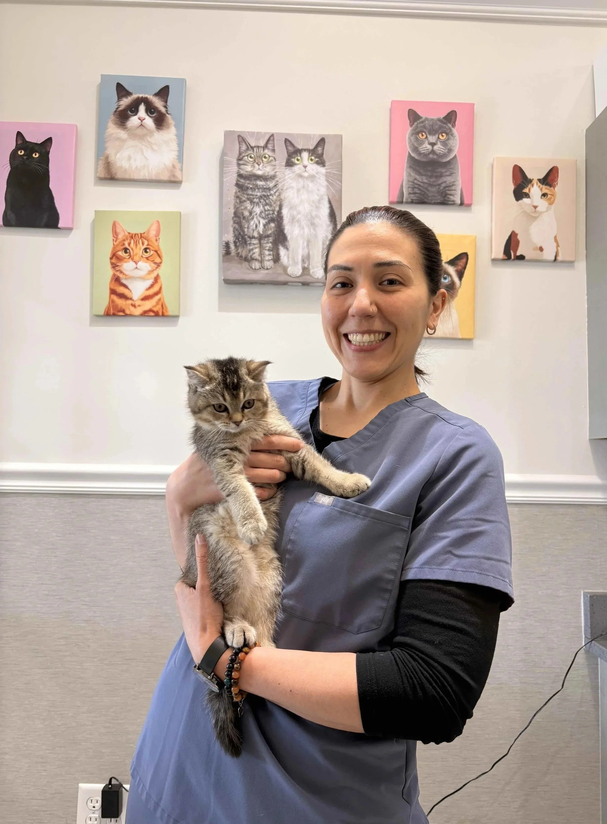 Veterinarian holding a cat during a cat health certificate visit in Newark, NJ.