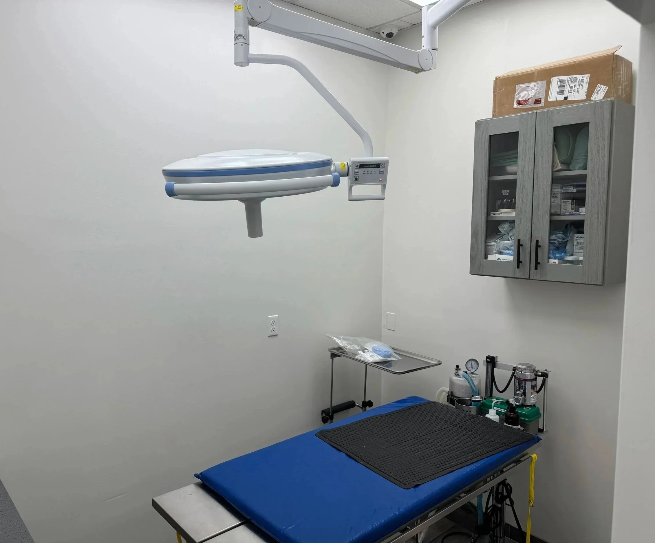 Veterinary surgery room with an operating table, surgical lighting, and anesthesia equipment used for cat spay surgery at The Veterinarian Pet Alliance in Newark, NJ.