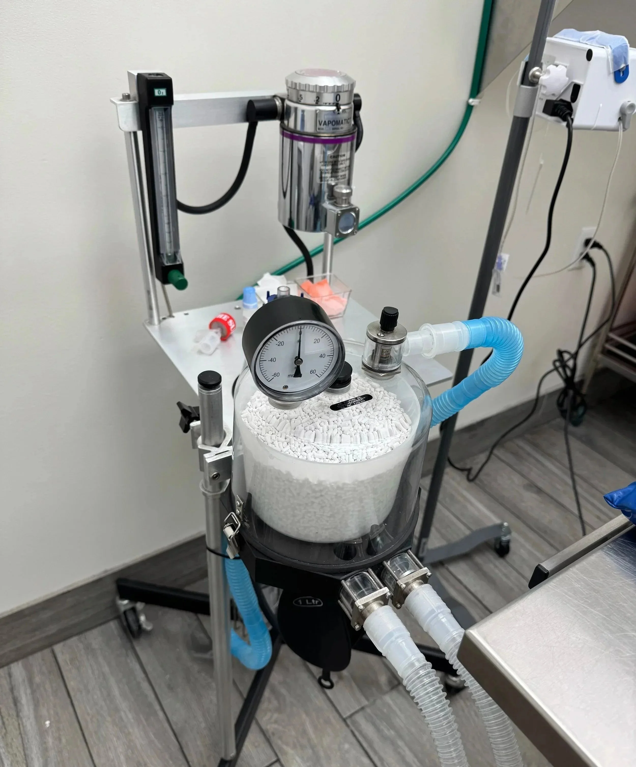 Veterinary anesthesia machine used for pet surgery at The Veterinarian Pet Alliance in Newark, NJ, supporting procedures such as cryptorchid neuter surgery.