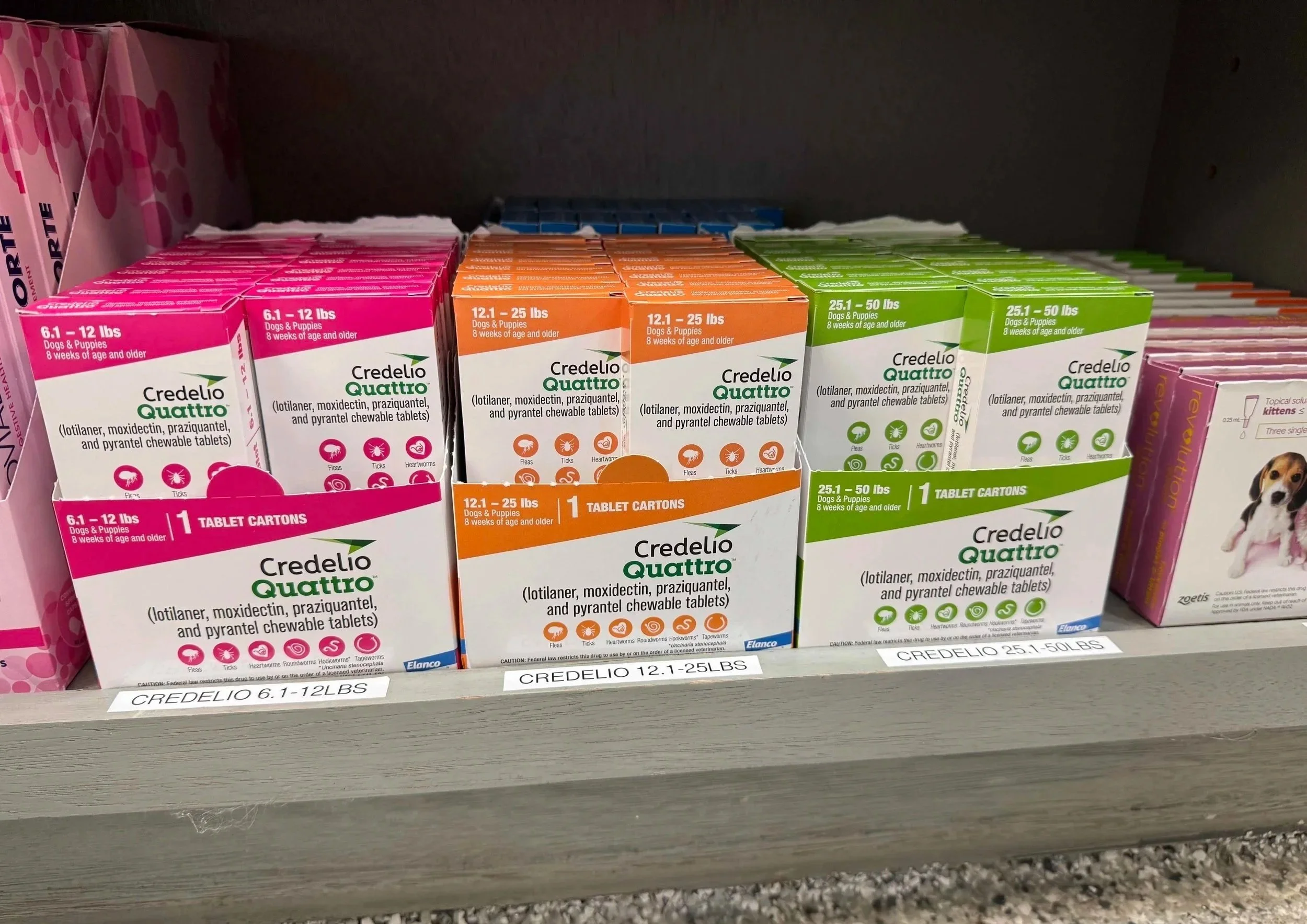 Flea and tick prevention products displayed in the clinic at Veterinarian Pet Alliance in Newark, NJ.