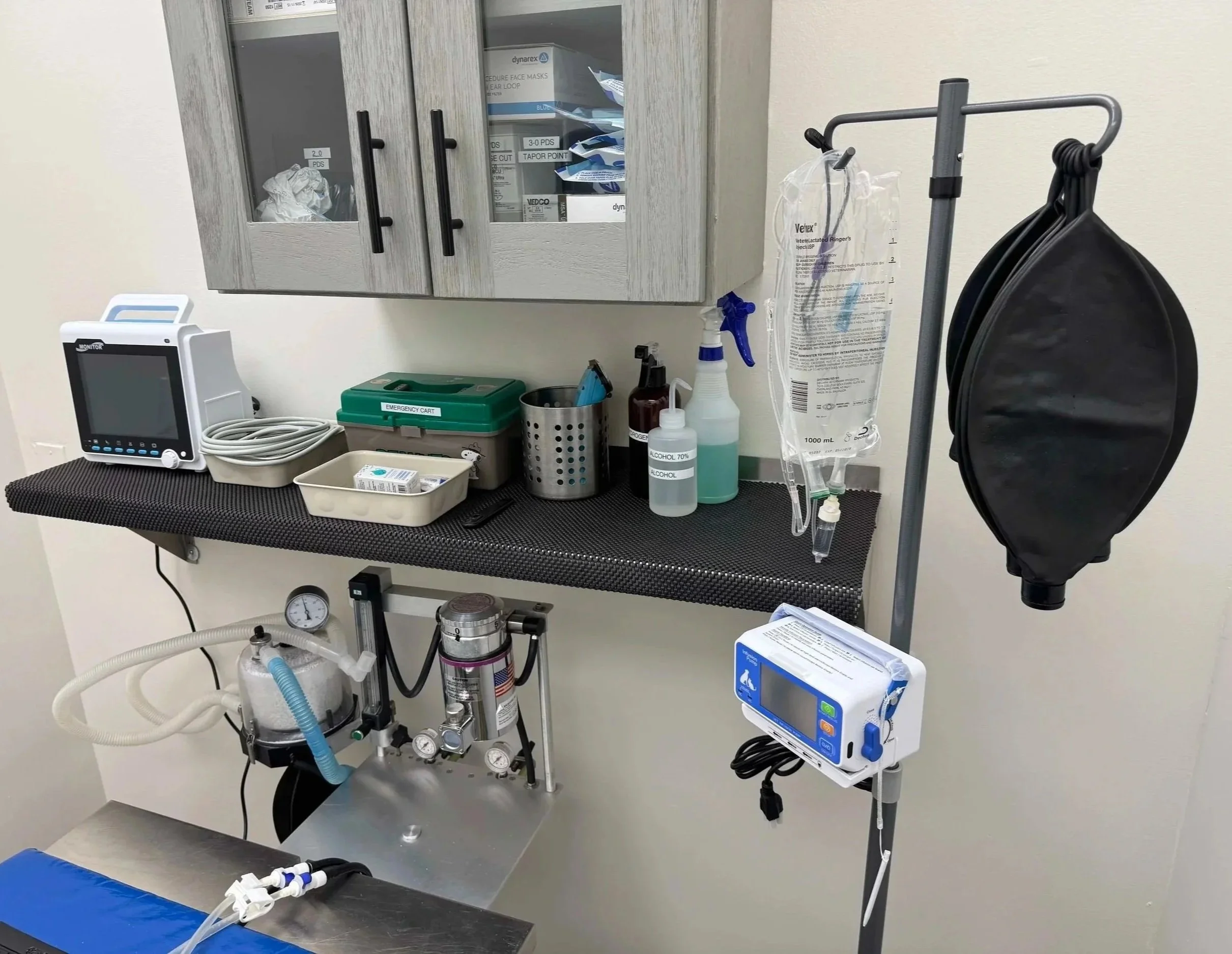Veterinary monitoring and treatment equipment in a Newark animal hospital exam area at Veterinarian Pet Alliance.