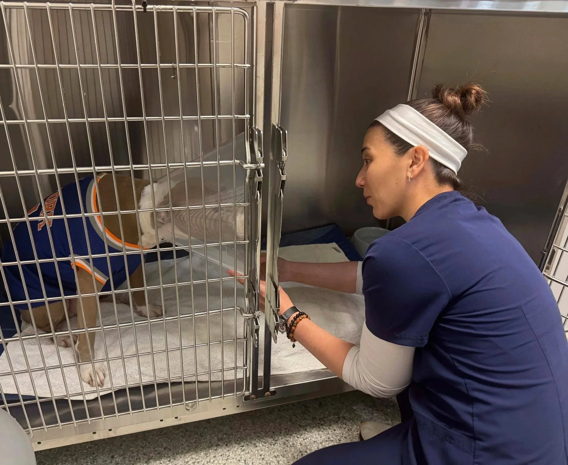 A veterinary team member checks on a dog resting in a clinic kennel at The Veterinarian Pet Alliance in Newark, NJ.