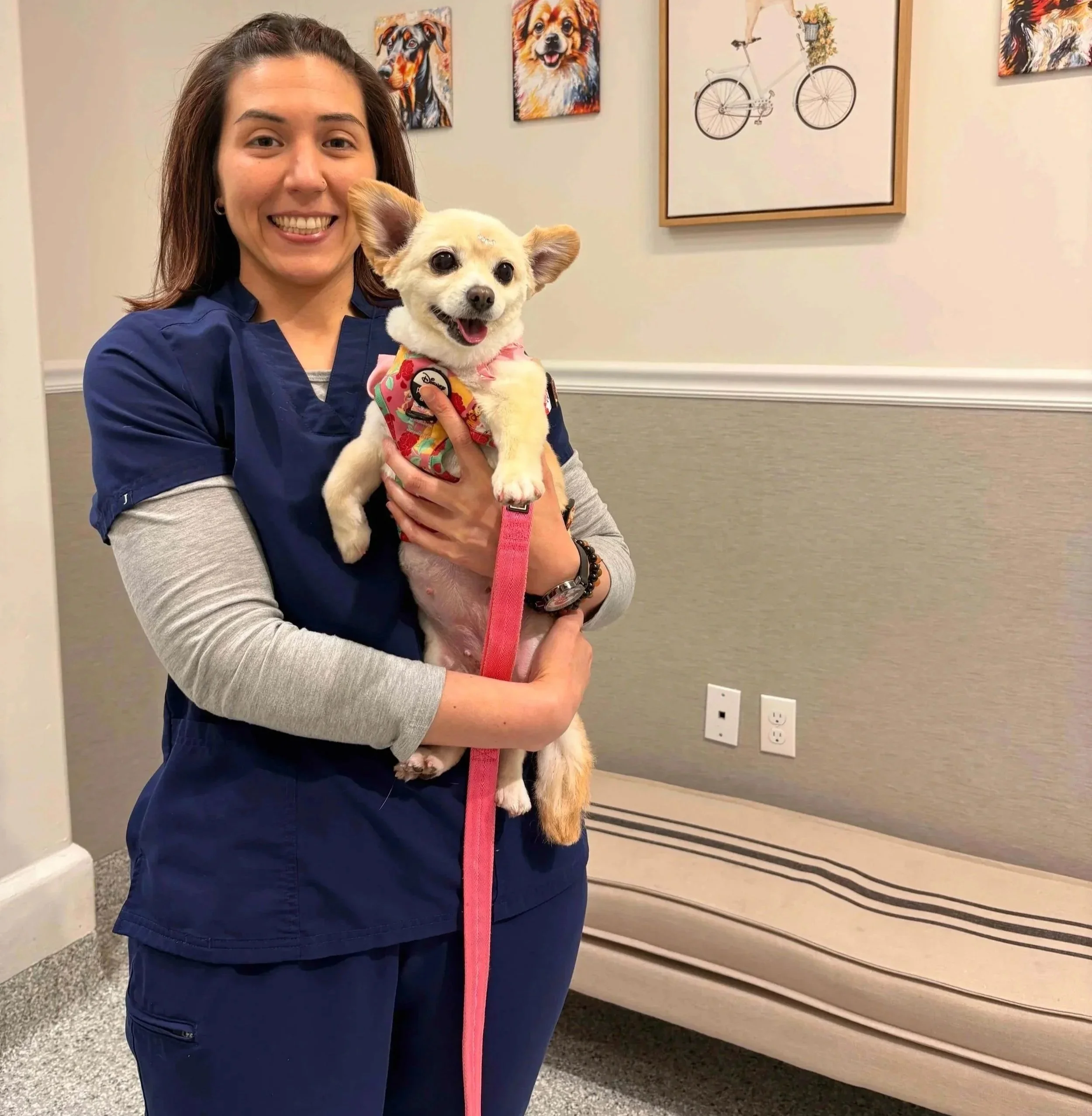 Veterinary team member holding a small dog during prescription refill guidance in Newark, NJ.