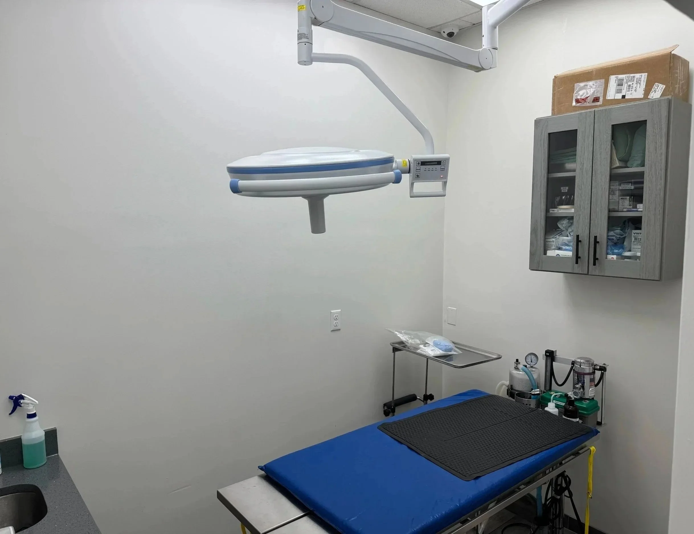 Clean veterinary treatment room prepared for pet dental cleaning planning at Veterinarian Pet Alliance in Newark, NJ.