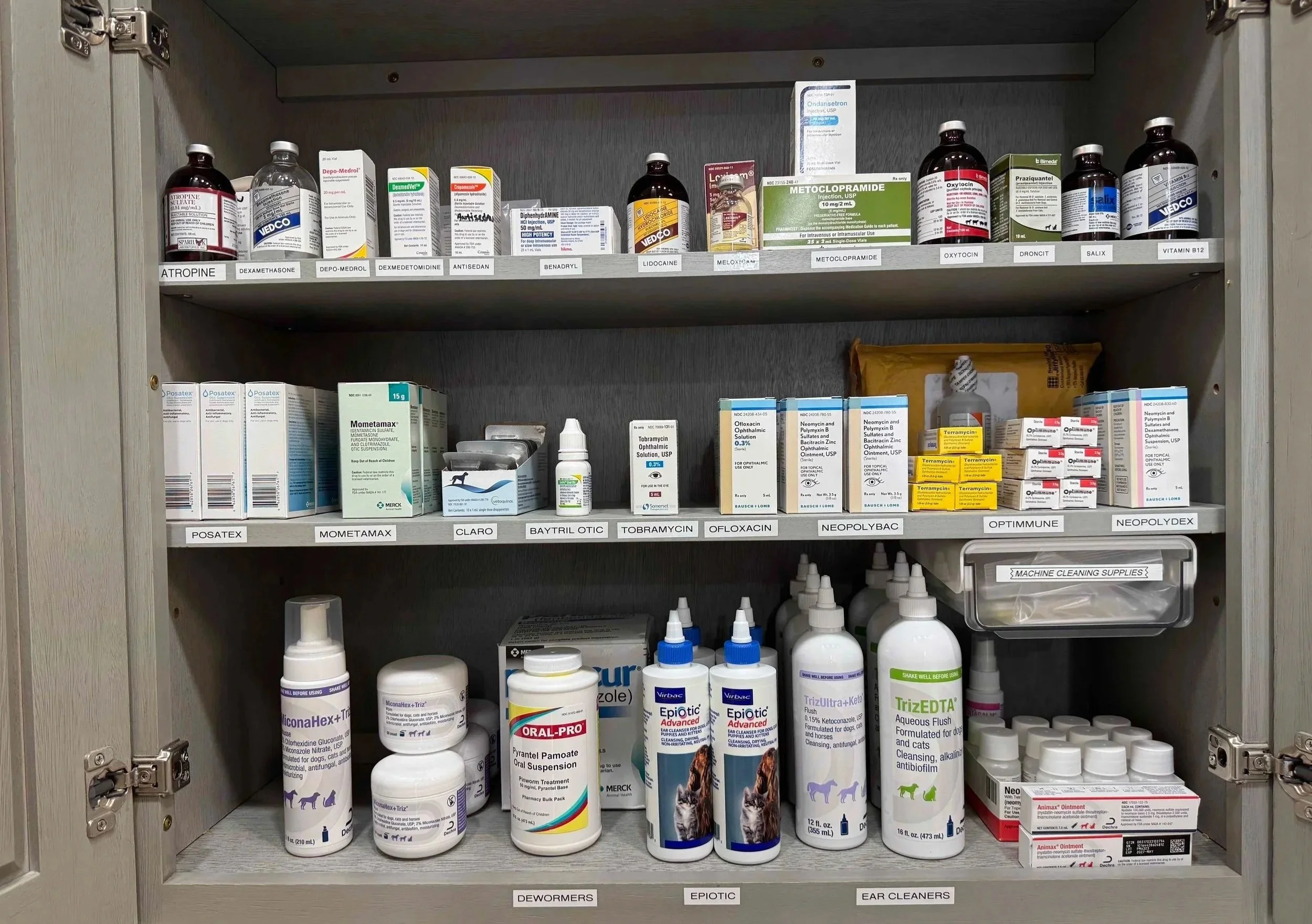 Veterinary pharmacy shelves with pet medications for refill guidance at Veterinarian Pet Alliance in Newark, NJ.