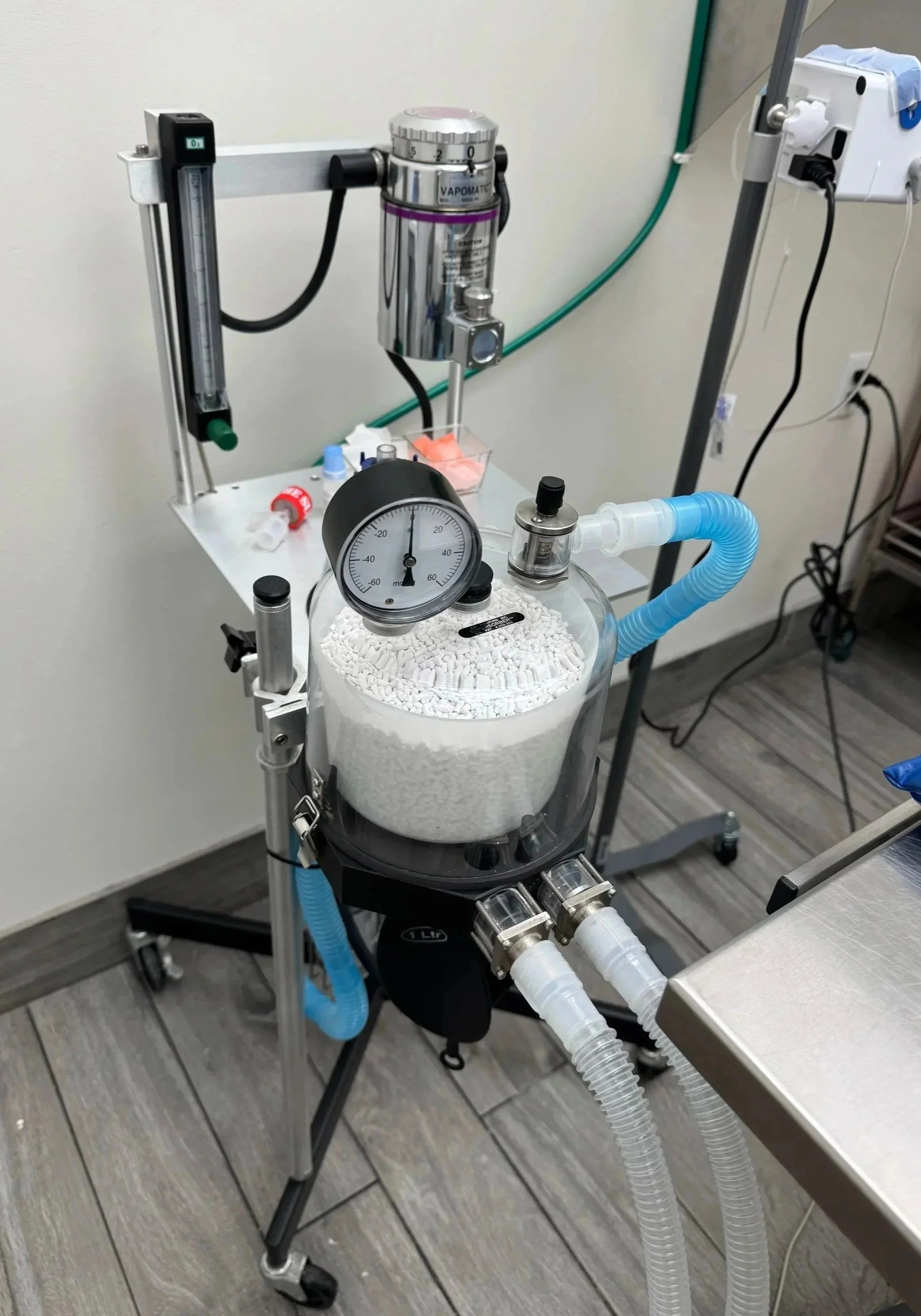 Veterinary anesthesia equipment used to support dental extraction planning at Veterinarian Pet Alliance in Newark, NJ.