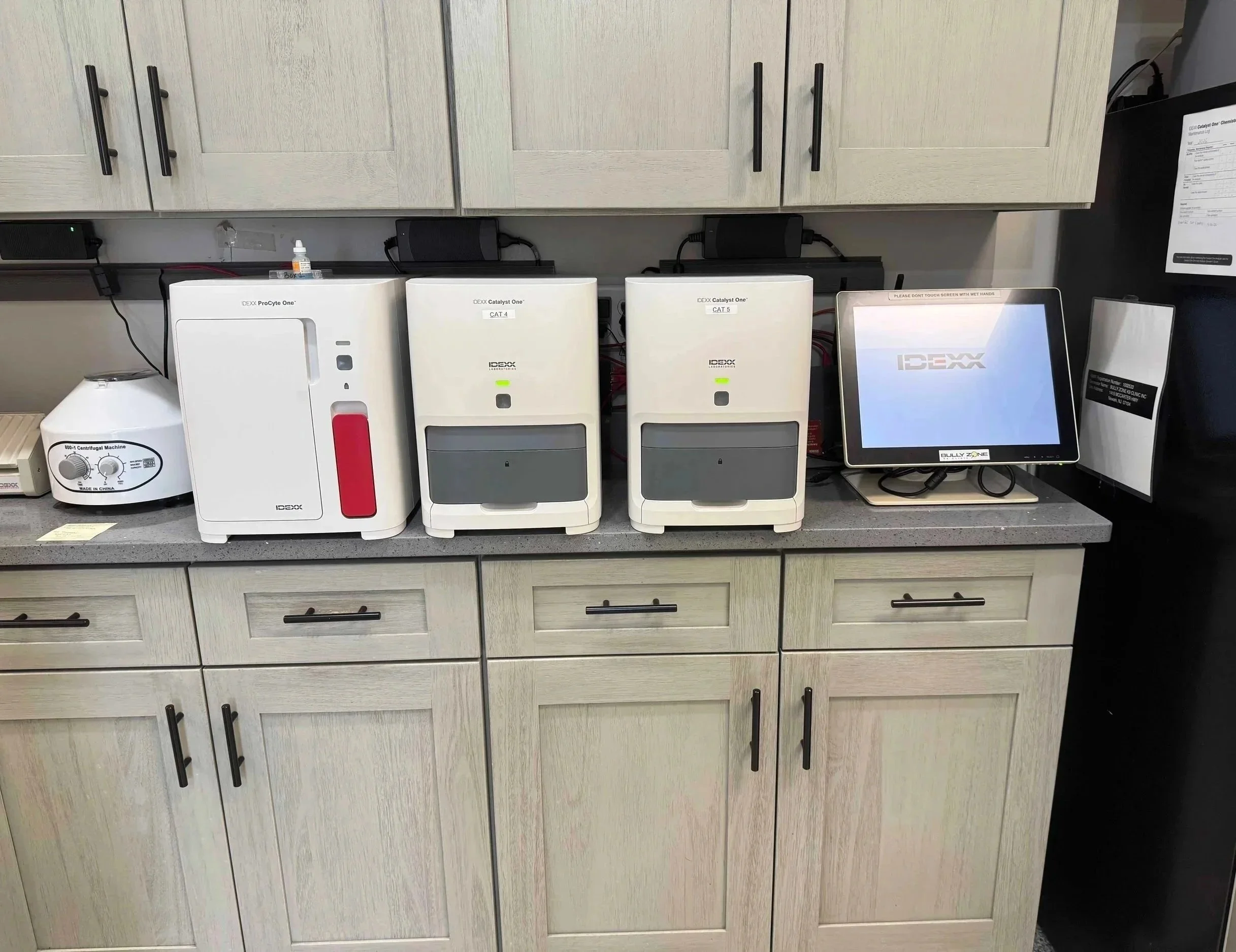 In-house laboratory analyzers support pre-anesthetic bloodwork for pet dental care in Newark, NJ.