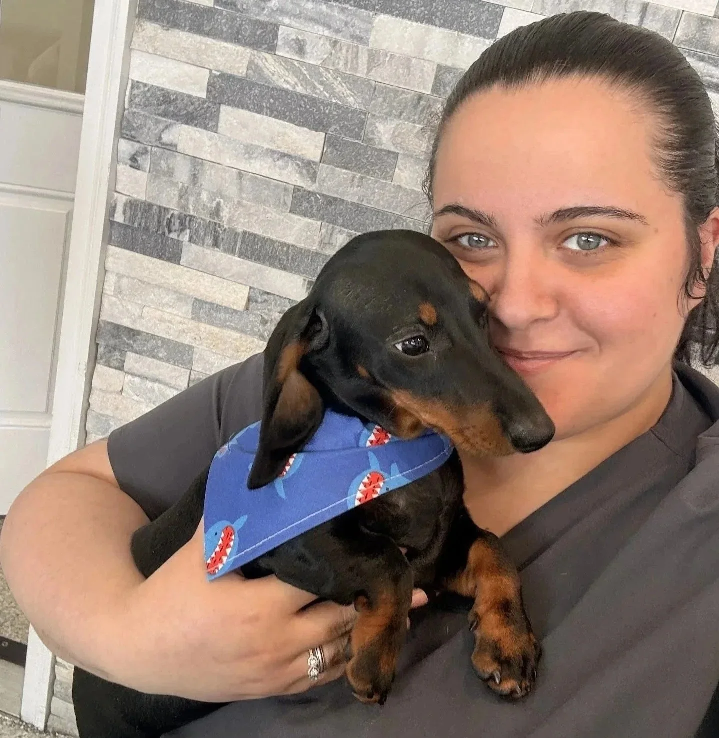 Dachshund with veterinary team member after pet microchipping visit in Newark NJ