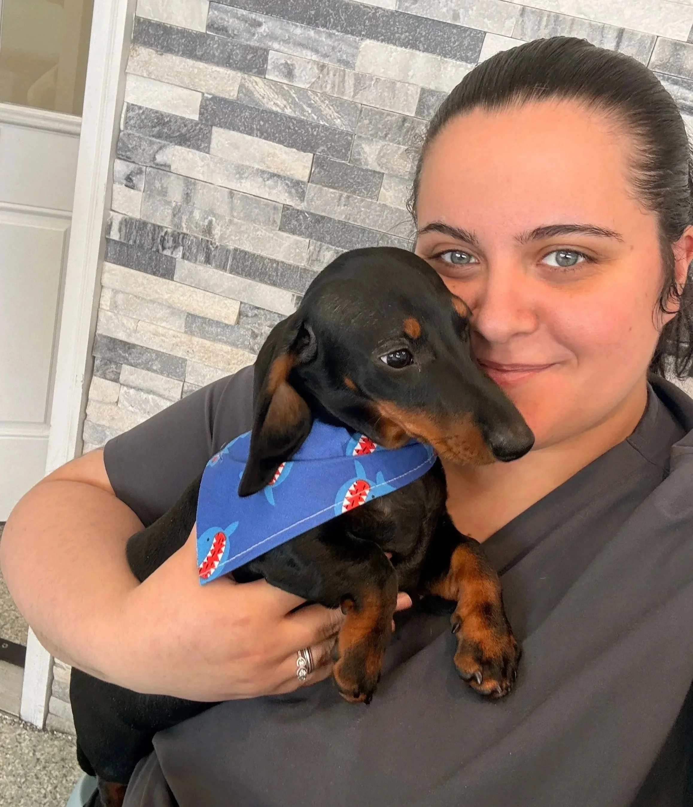 Small dog held by a clinic team member during a pet care visit at Veterinarian Pet Alliance in Newark, NJ.
