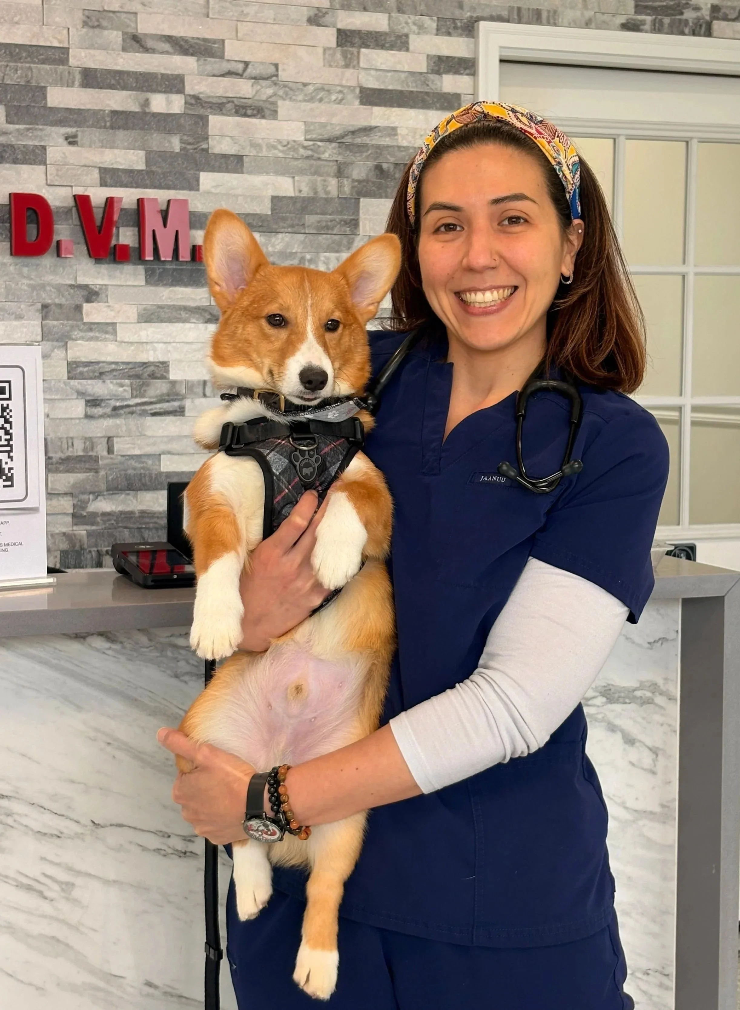 Veterinary team member holding a small dog at Veterinarian Pet Alliance in Newark, NJ.