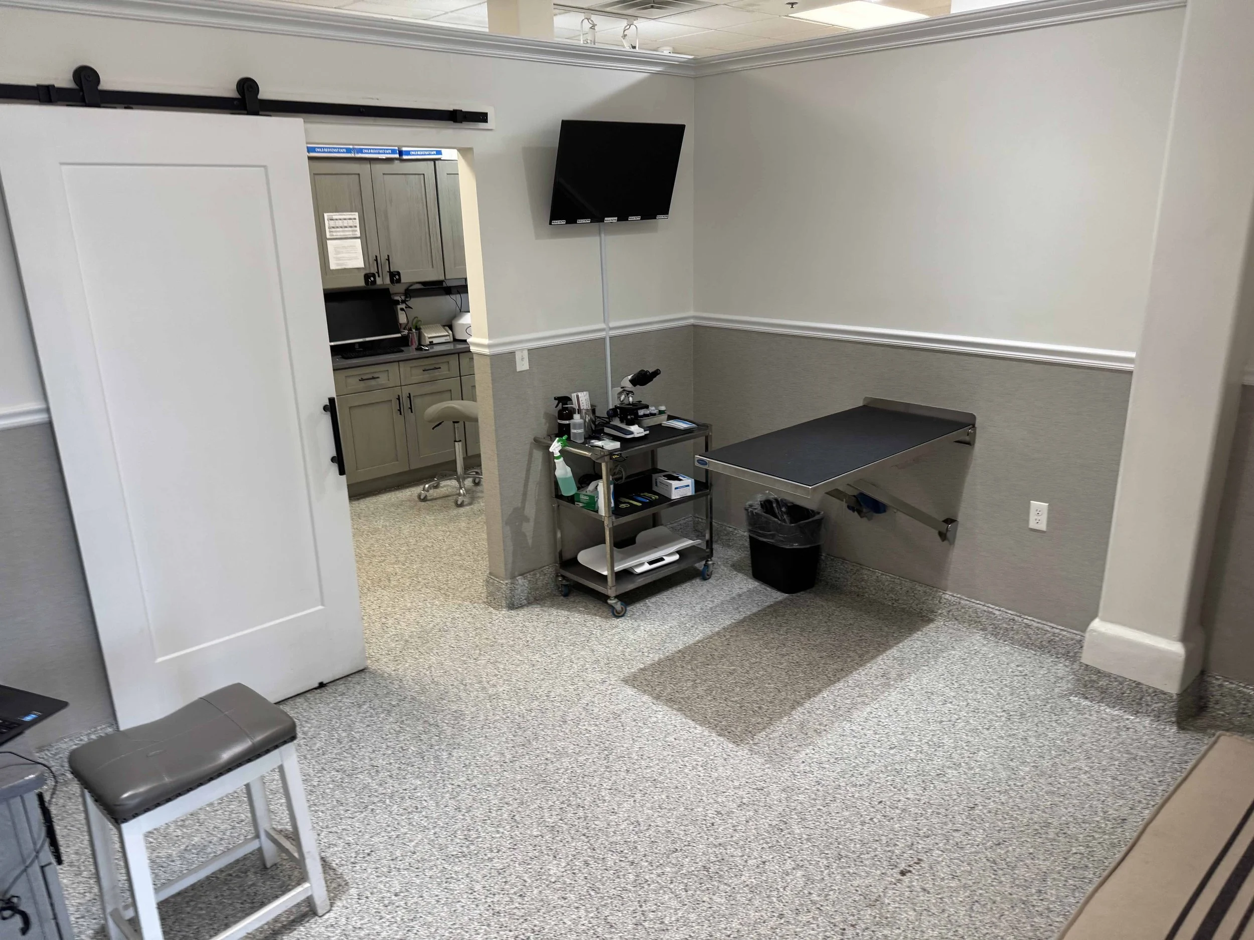 Veterinary exam room with treatment table and diagnostic equipment at Veterinarian Pet Alliance in Newark, NJ.
