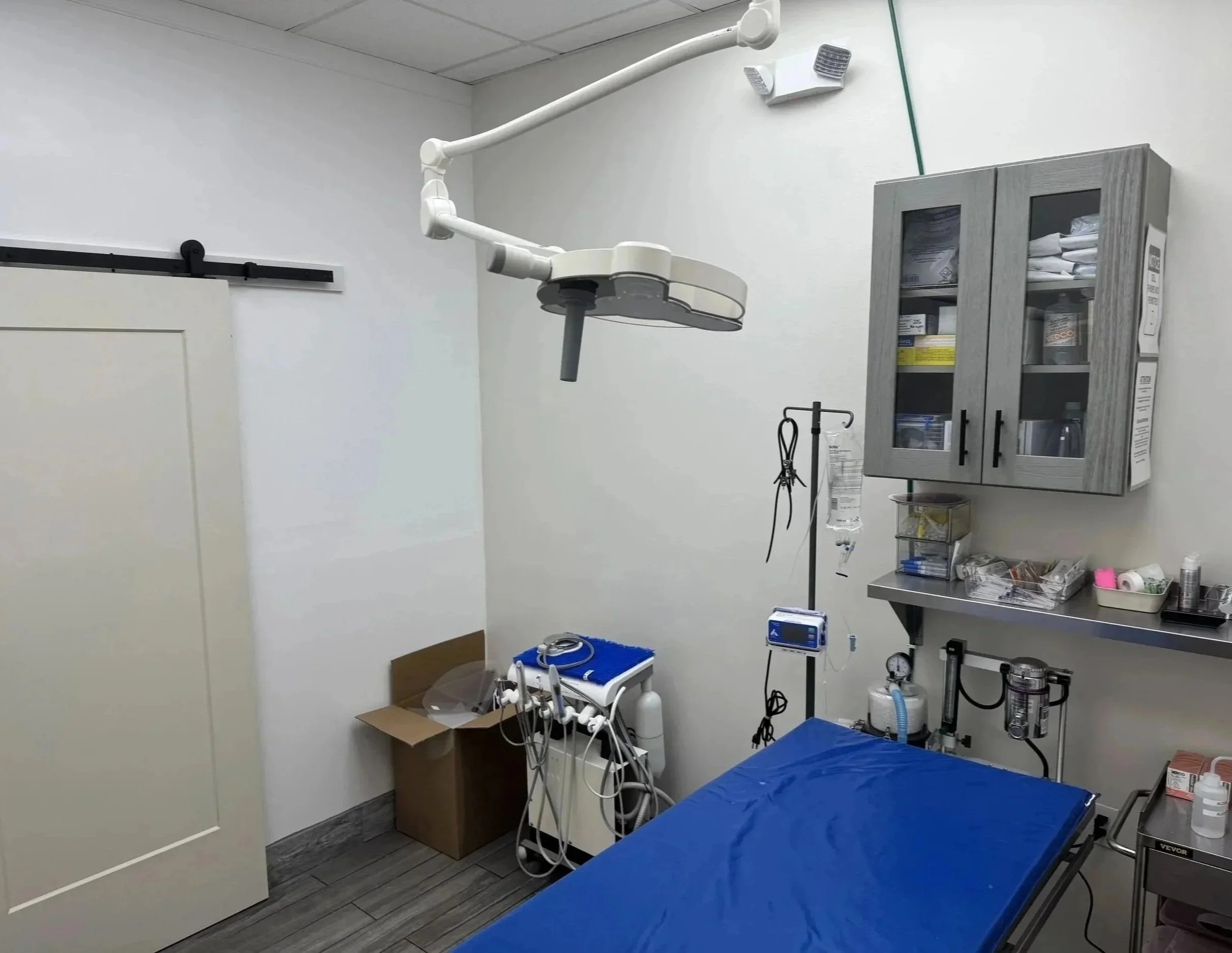 Veterinary procedure room for pre-surgical bloodwork and monitoring for dogs and cats in Newark, NJ