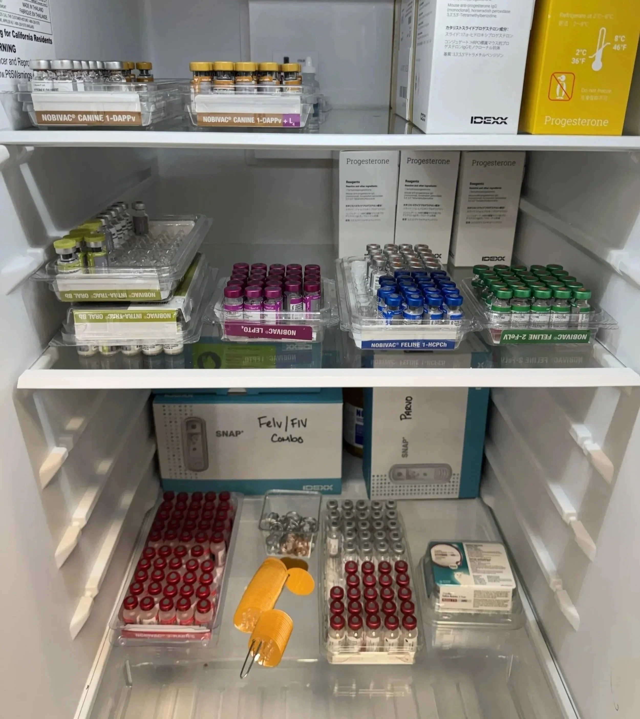 Dog and cat vaccines stored at Veterinarian Pet Alliance in Newark, NJ