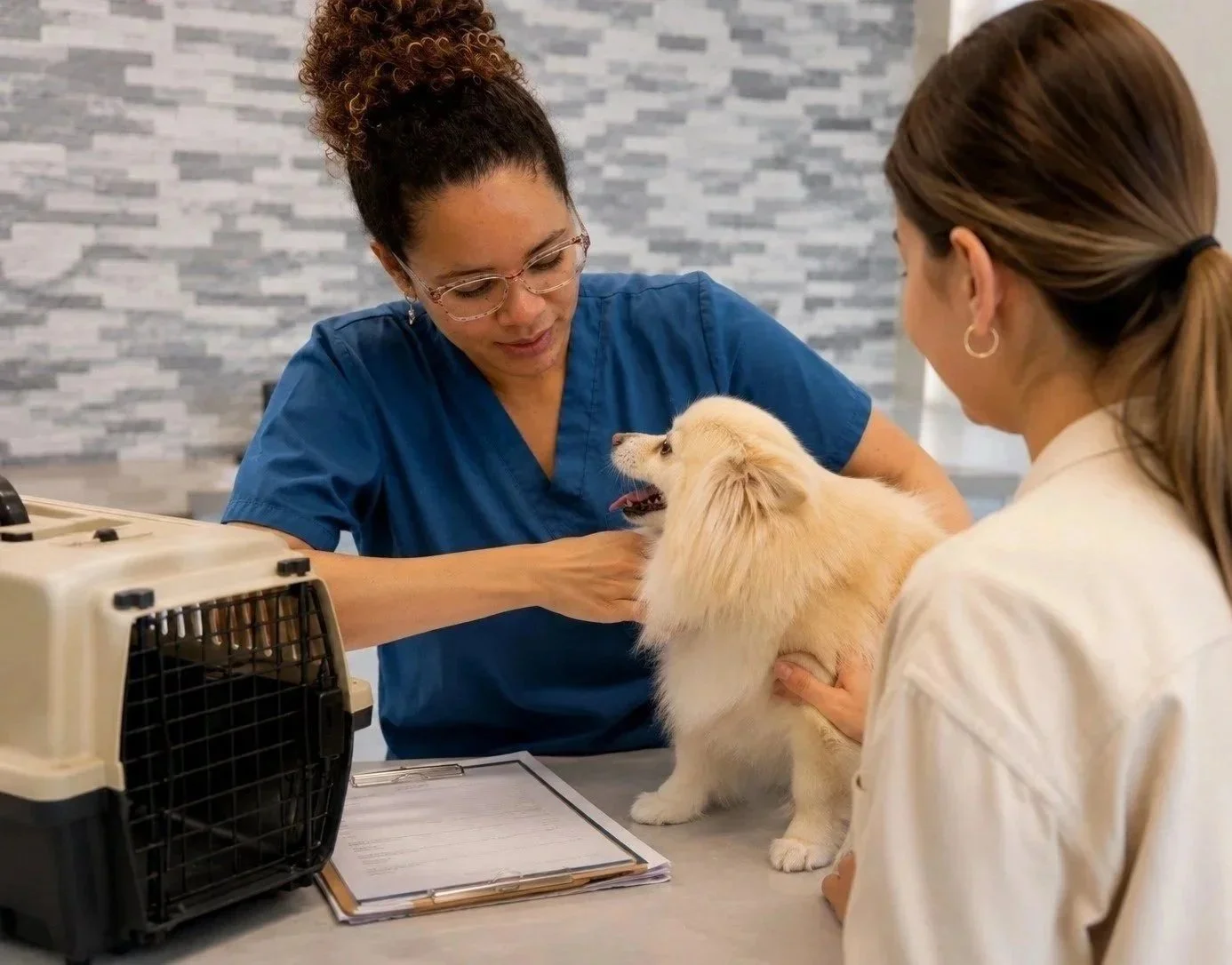 Veterinarian preparing Dominican Republic pet travel certificate in Newark NJ