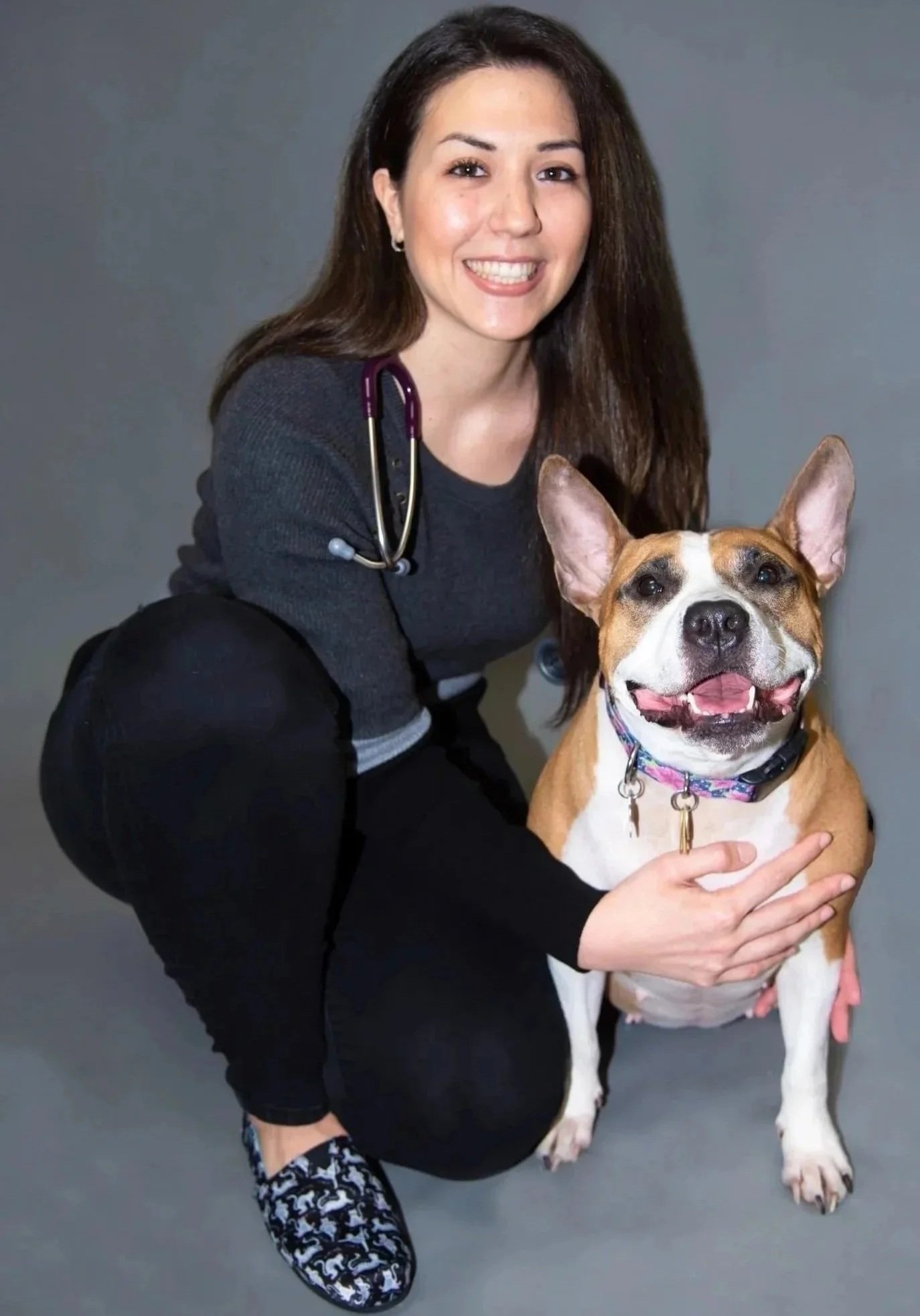 Dog allergy treatment exam at a Newark NJ veterinary clinic