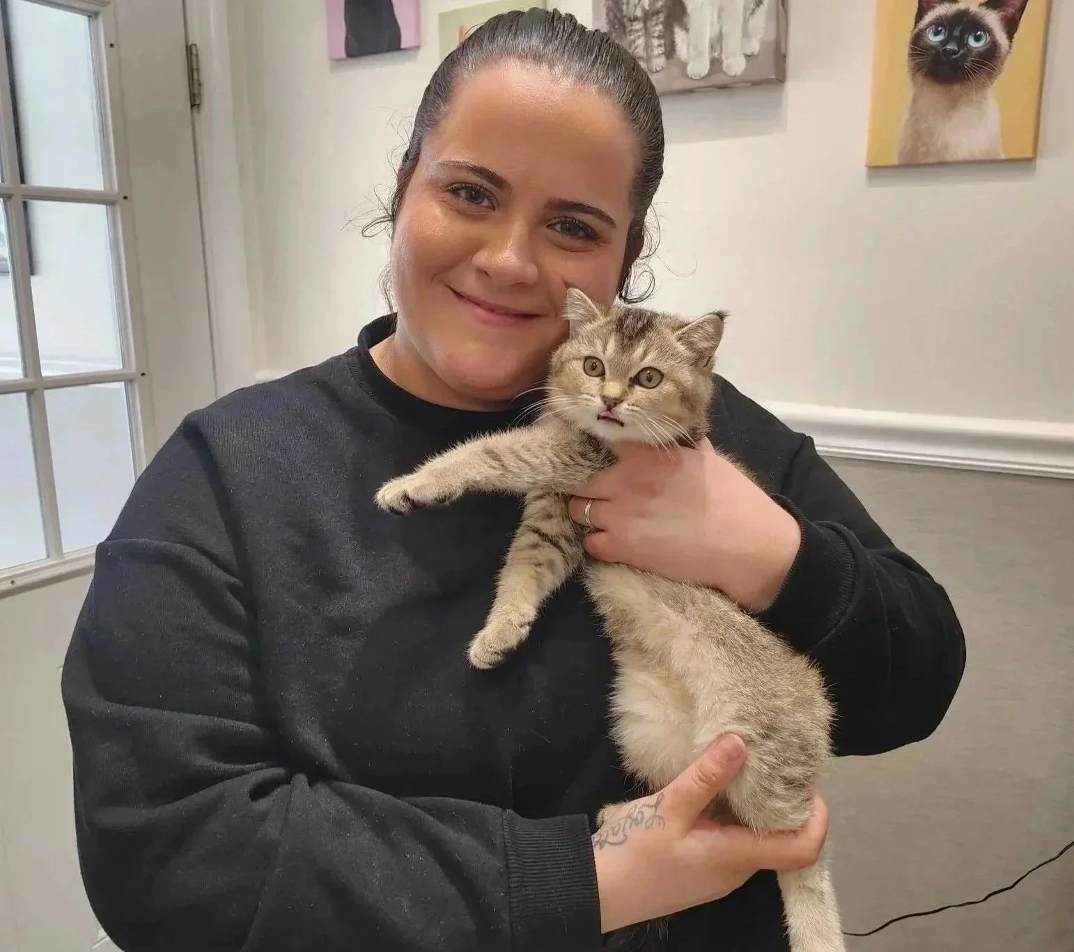 Cat parasite prevention care with a veterinarian in Newark NJ