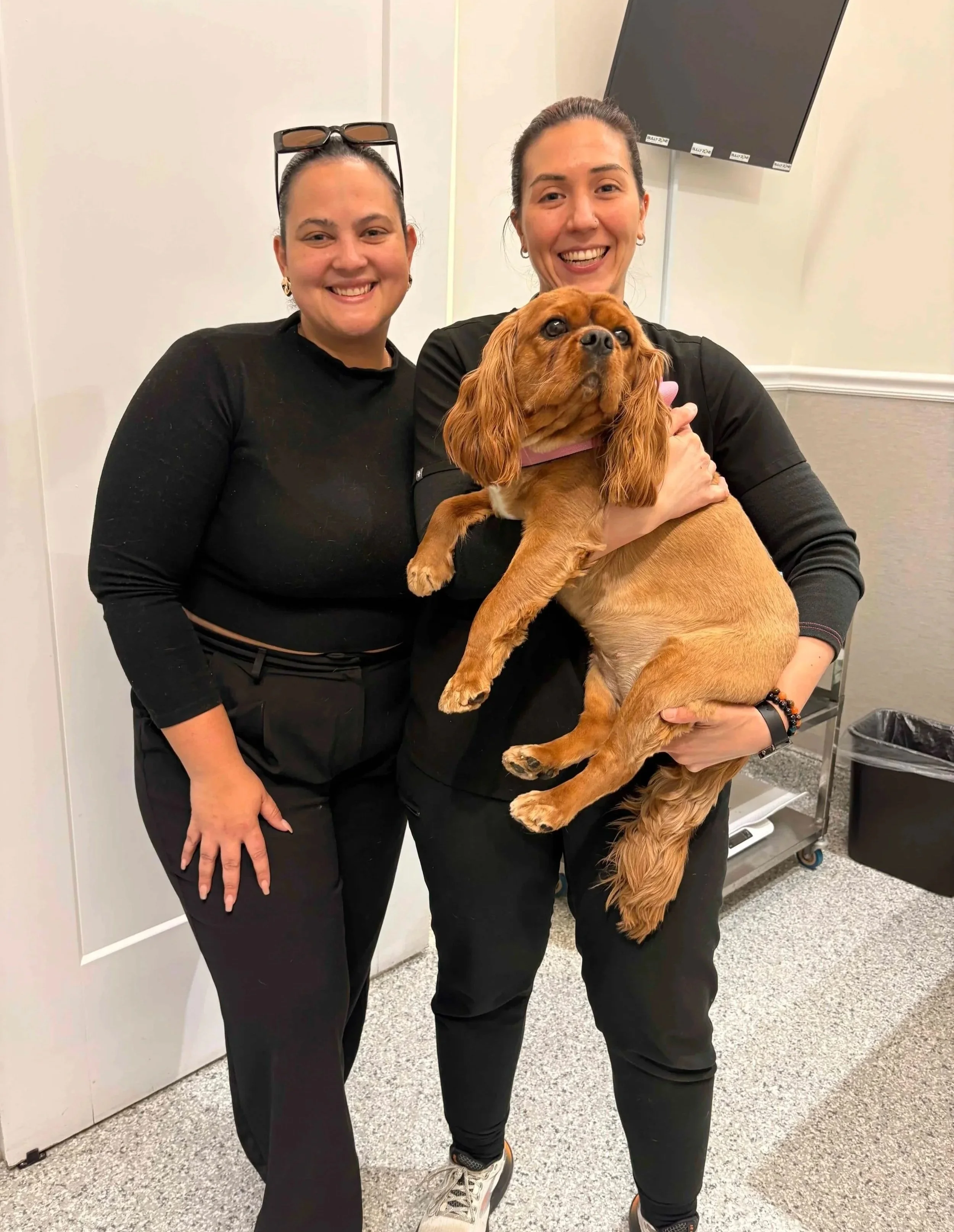 Clinic team members holding a dog during a veterinary care visit at Veterinarian Pet Alliance in Newark, NJ.