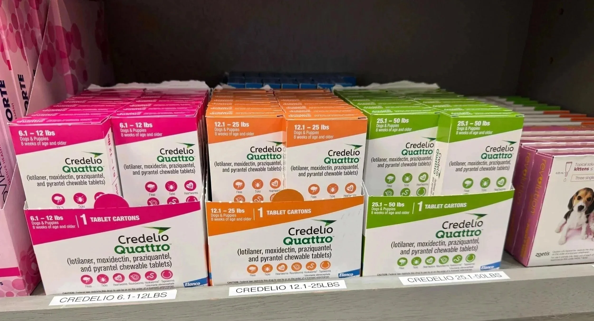 Labeled pet medication products show refill and dosing details for veterinary pharmacy calls in Newark, NJ.