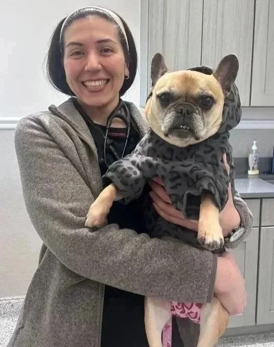 Veterinarian Pet Alliance team member holding a dog during prescription care in Newark, NJ.