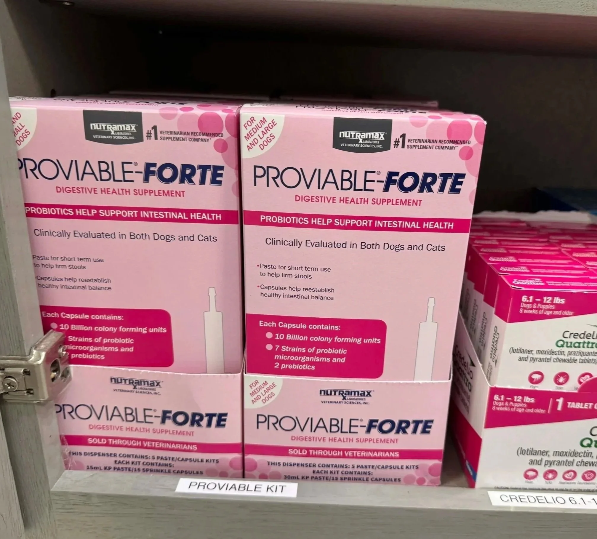 Digestive support and pet nausea medication products are organized for veterinary pharmacy guidance in Newark, NJ.