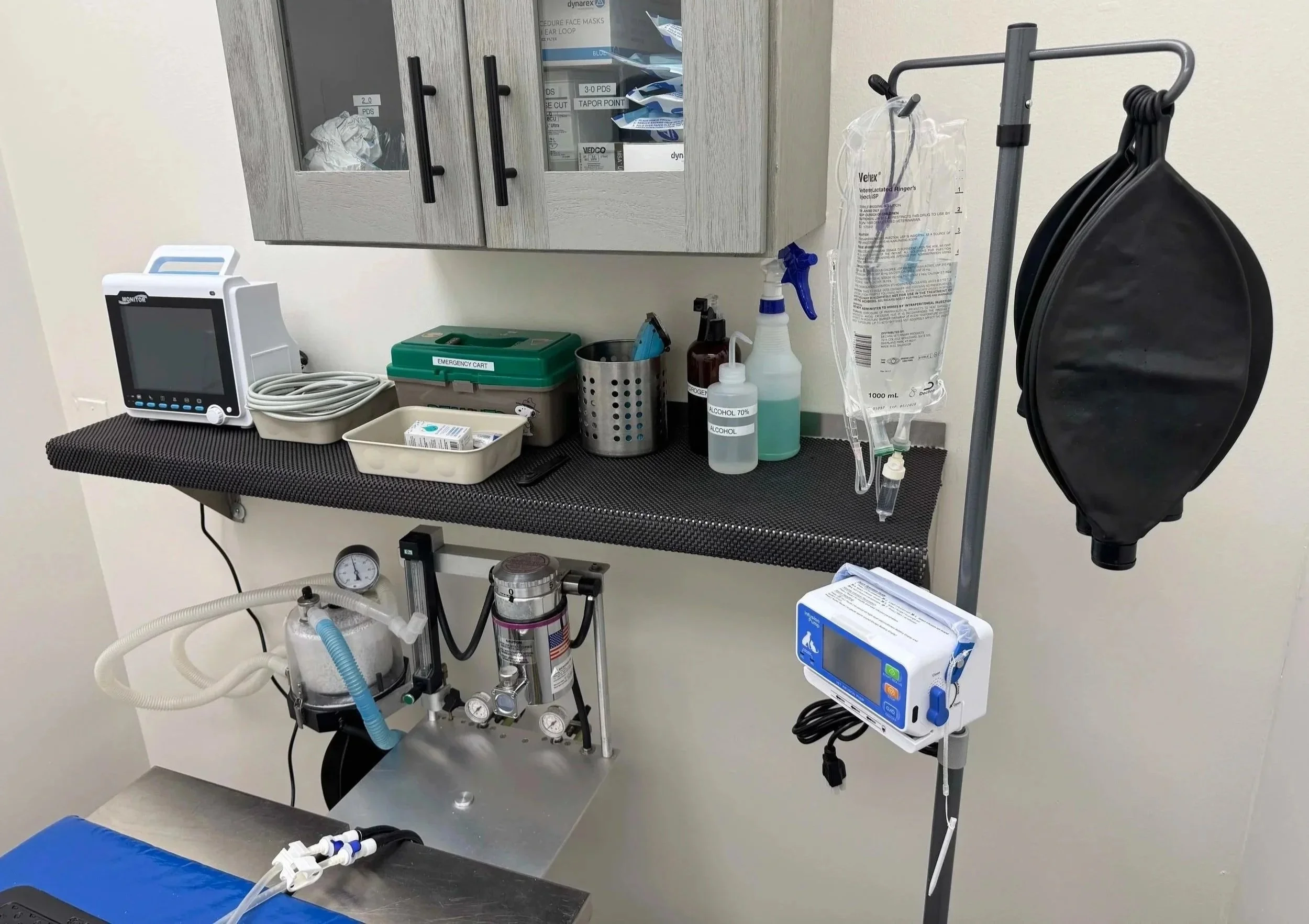 Veterinary anesthesia and patient-monitoring equipment used to support cat neuter surgery at The Veterinarian Pet Alliance in Newark, NJ.