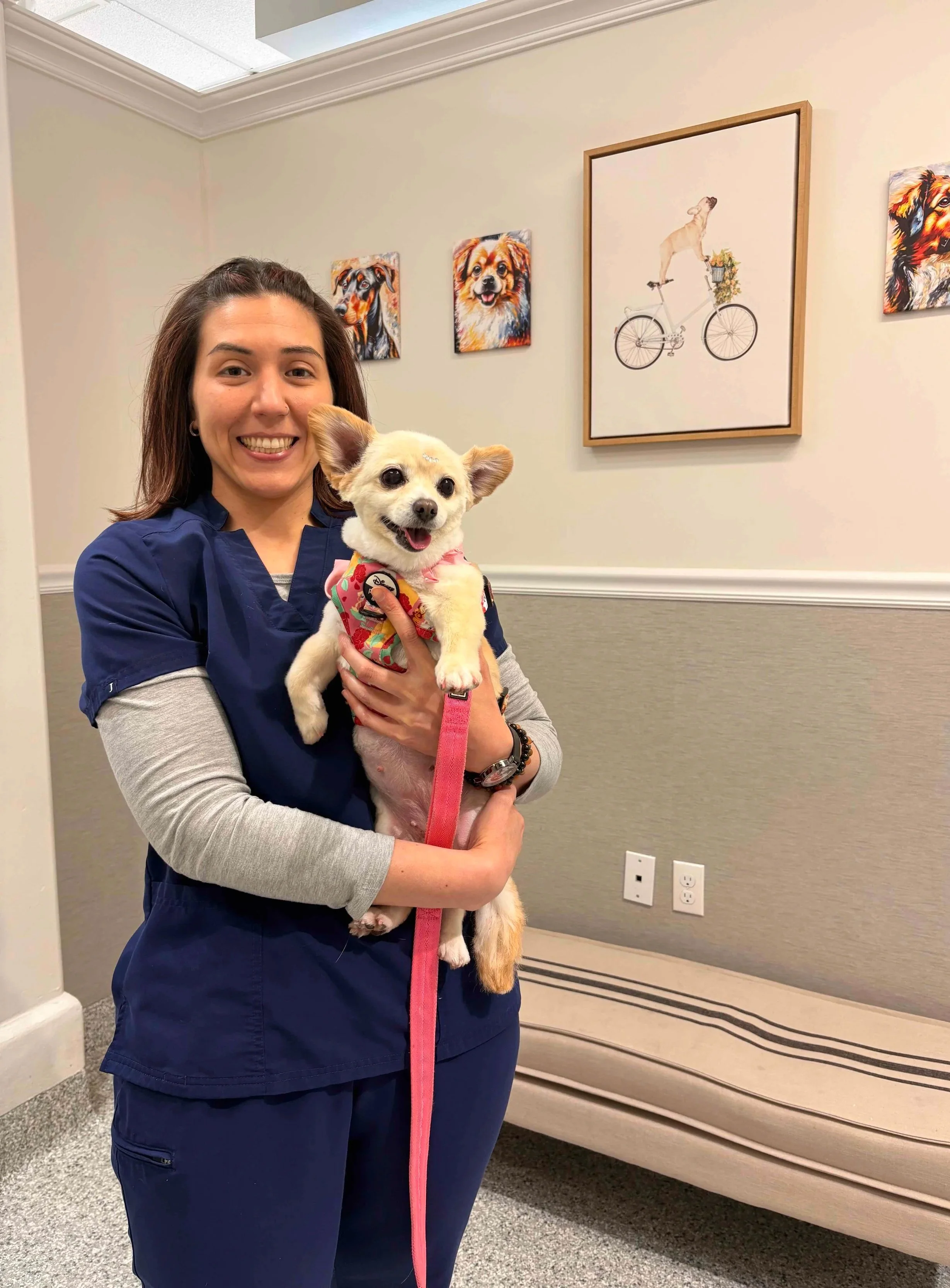Veterinary team member holding a small dog inside The Veterinarian Pet Alliance clinic in Newark, NJ.