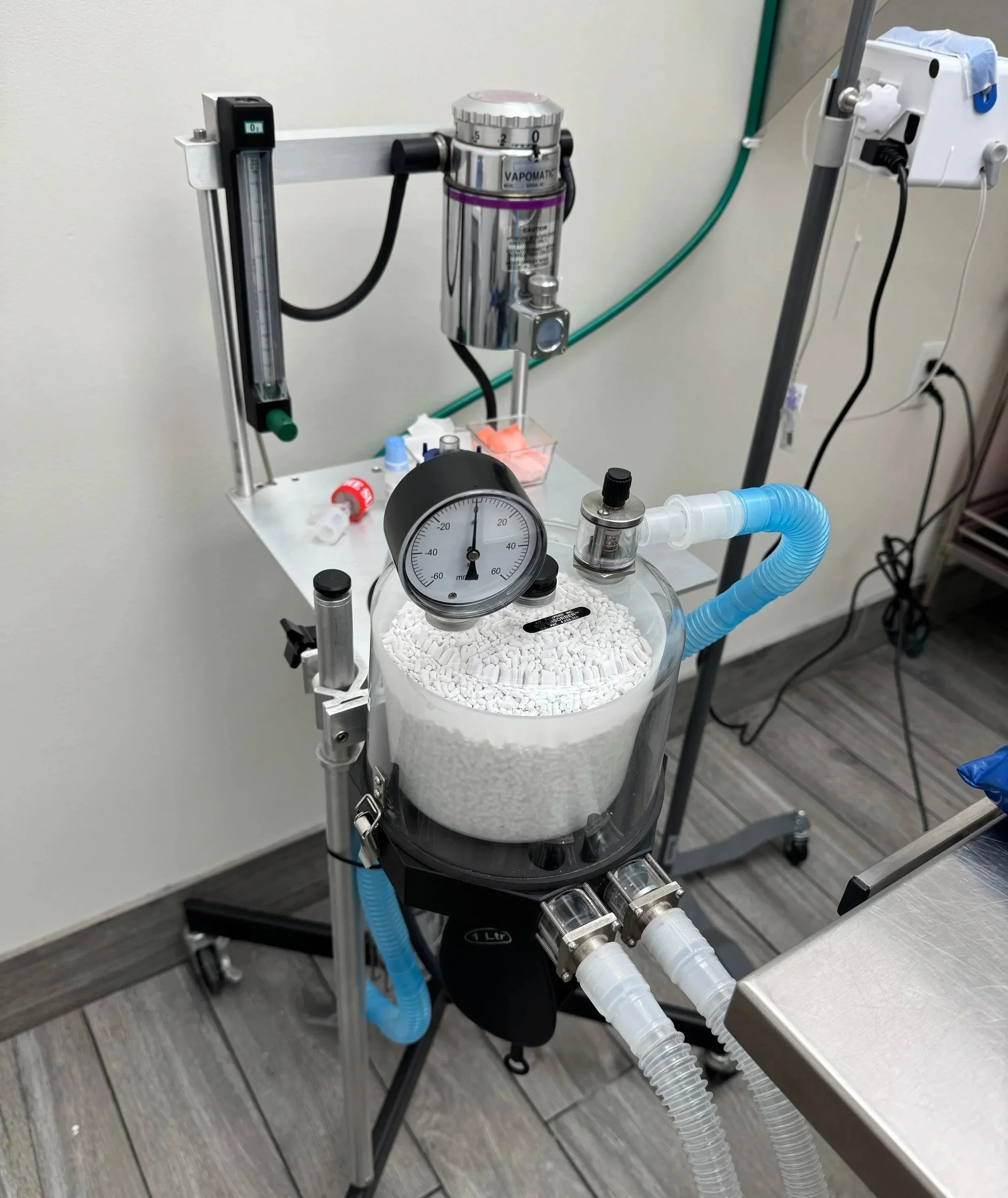 Veterinary anesthesia equipment used for surgical planning at Veterinarian Pet Alliance in Newark, NJ.