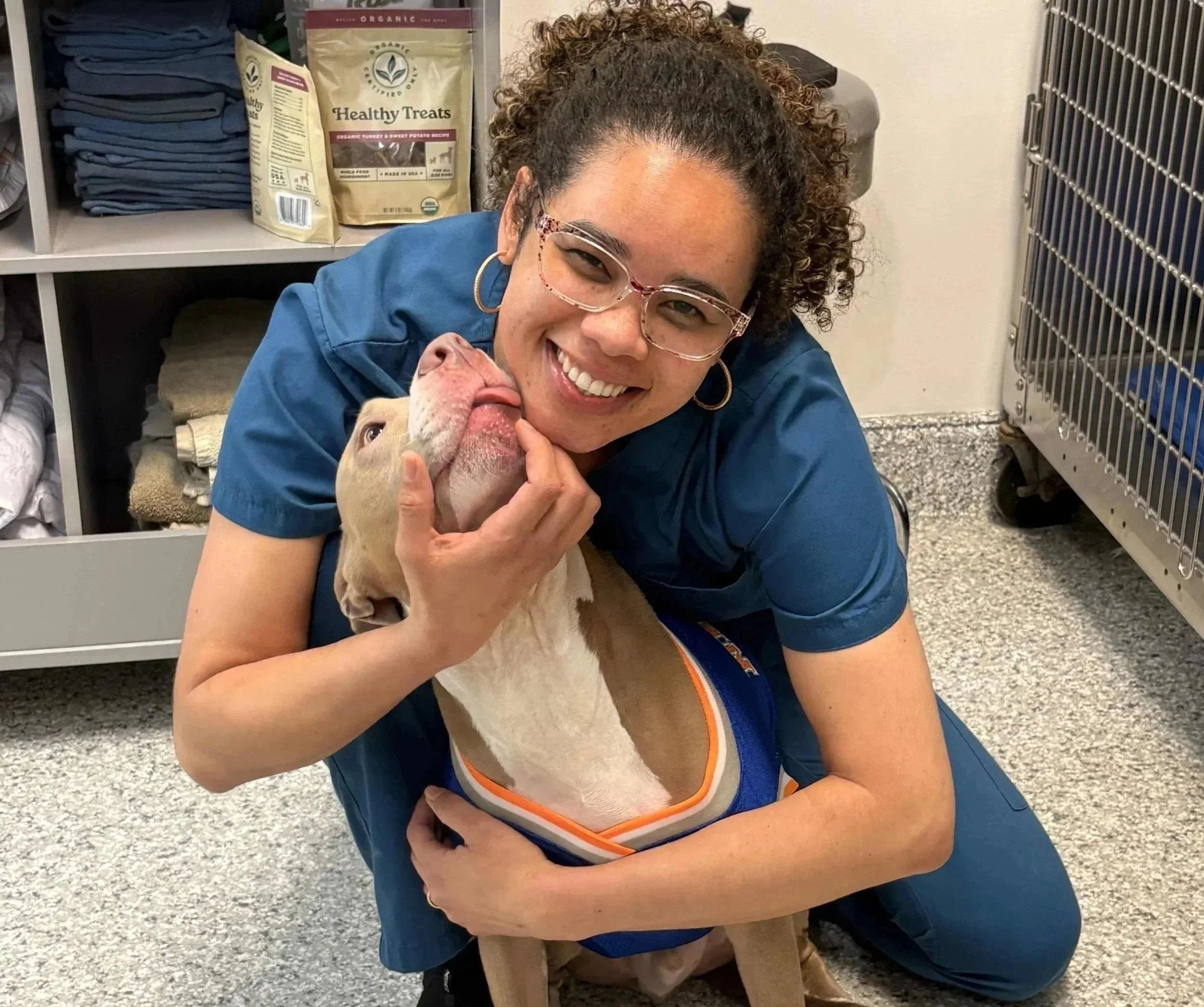 Veterinary team member comforting a dog in the animal hospital area at Veterinarian Pet Alliance in Newark, NJ.