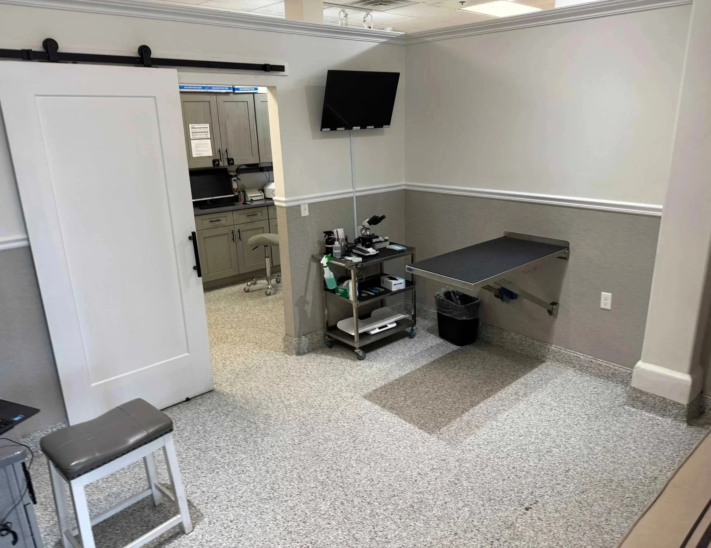 Veterinary treatment room ready for pet dental visit planning at Veterinarian Pet Alliance in Newark, NJ.