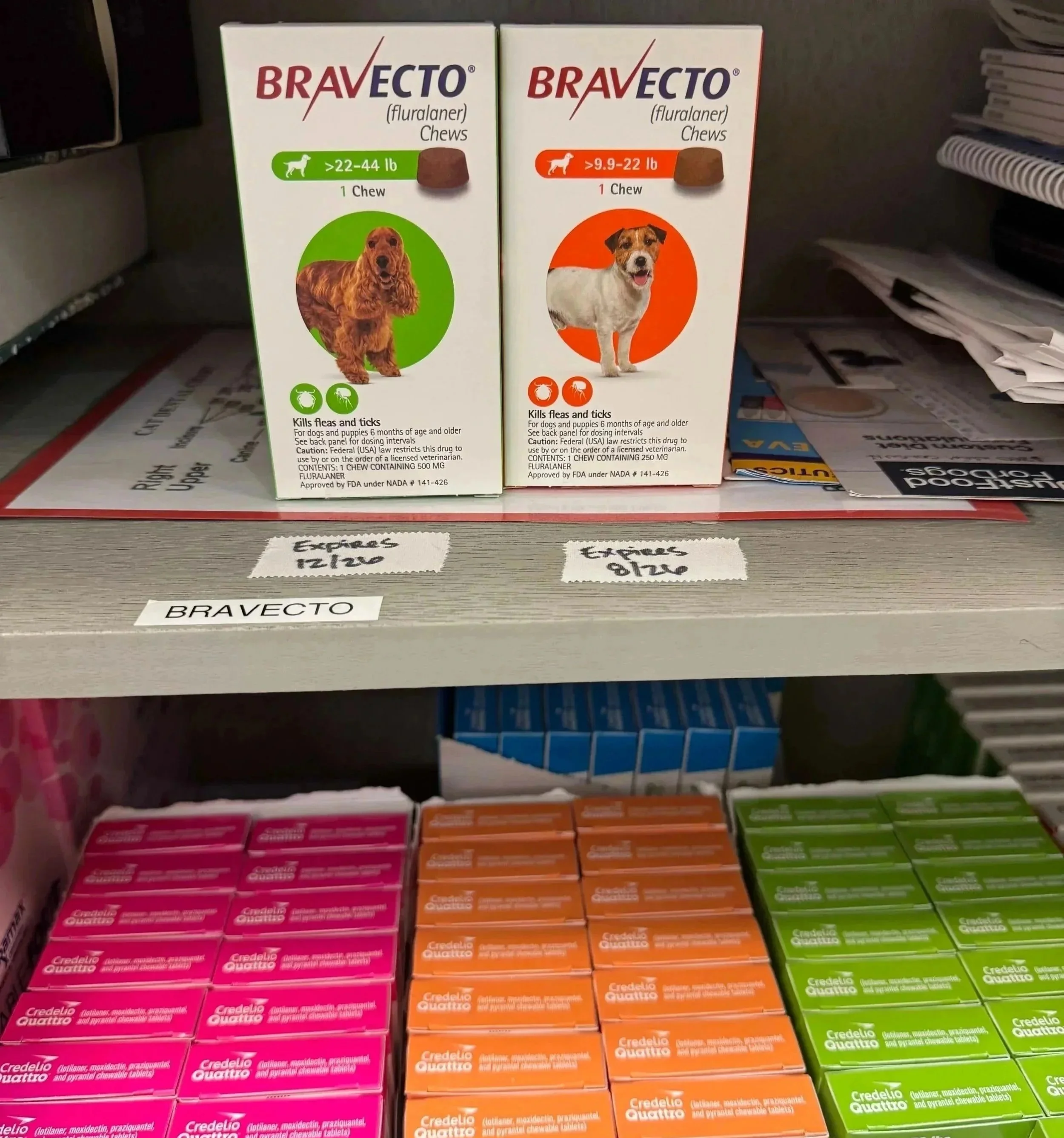 Flea, tick, and heartworm medication products are organized at Veterinarian Pet Alliance in Newark, NJ.