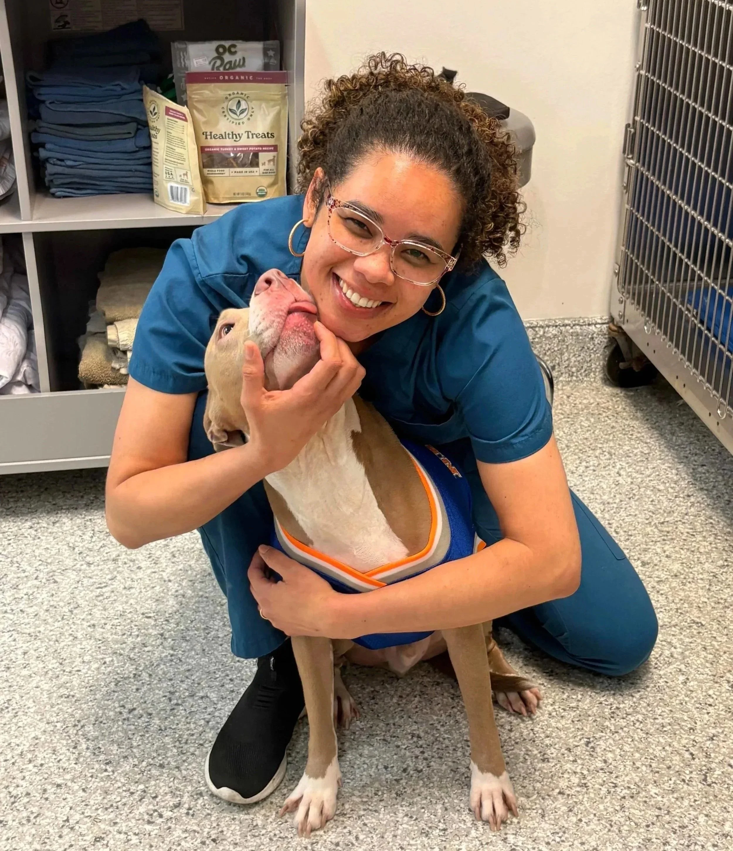 Veterinary team member comforting a dog during surgical care at Veterinarian Pet Alliance in Newark, NJ.