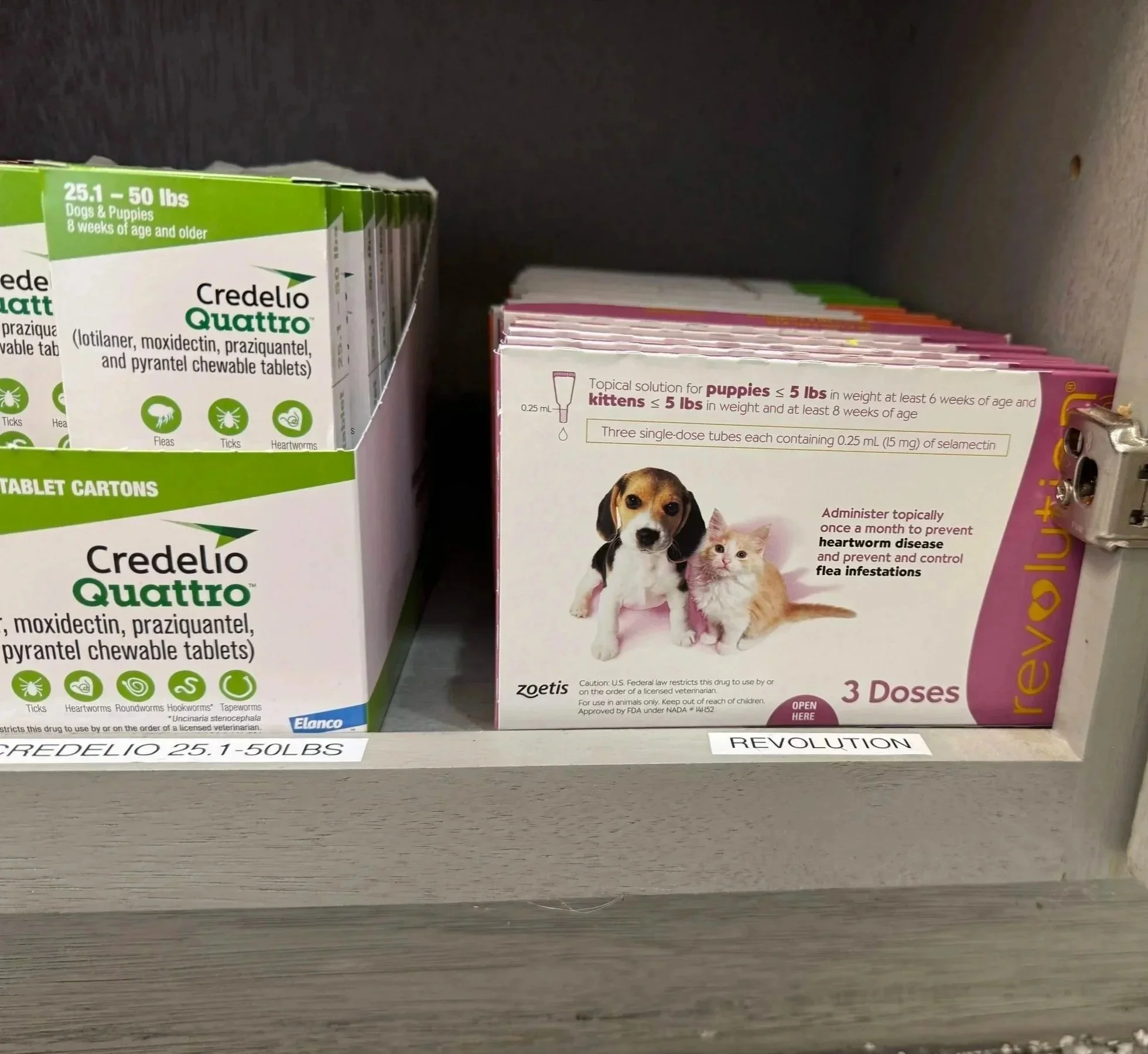 Labeled pet medication packaging is organized for safe veterinary pharmacy guidance at Veterinarian Pet Alliance in Newark, NJ.