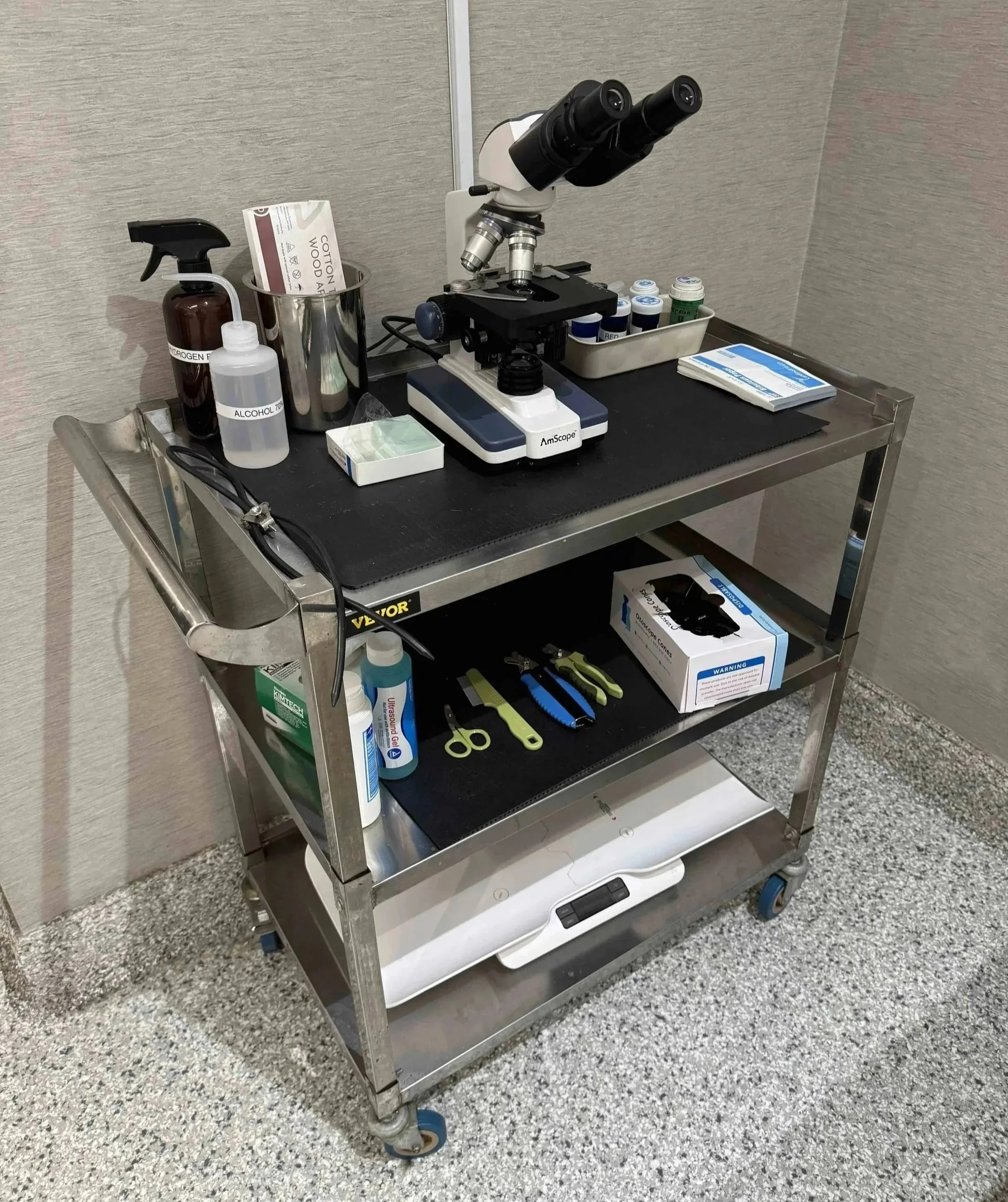 Veterinary diagnostics for pet skin infections at a Newark NJ animal hospital