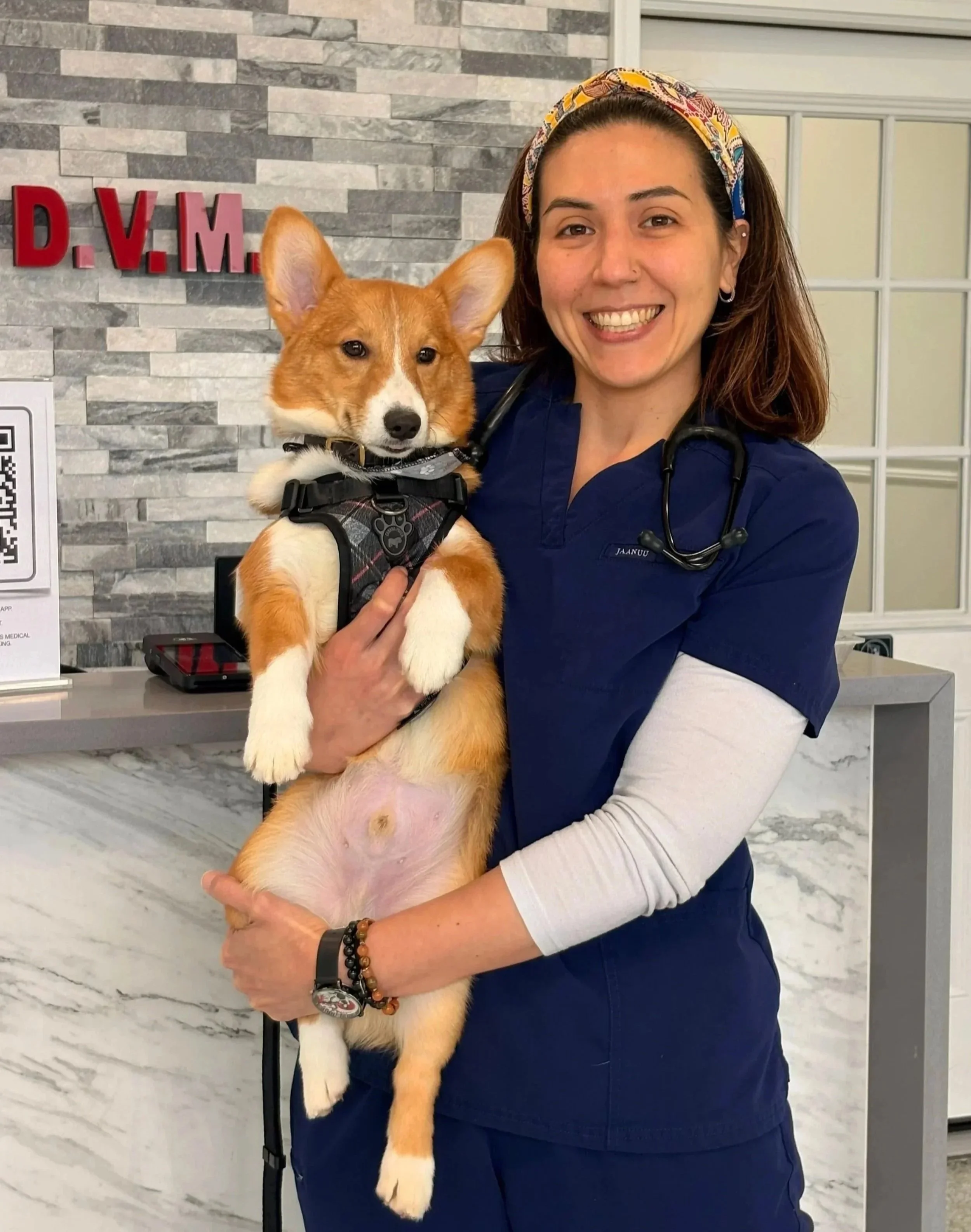 A veterinary team member holds a small dog near the front desk at The Veterinarian Pet Alliance in Newark, NJ.