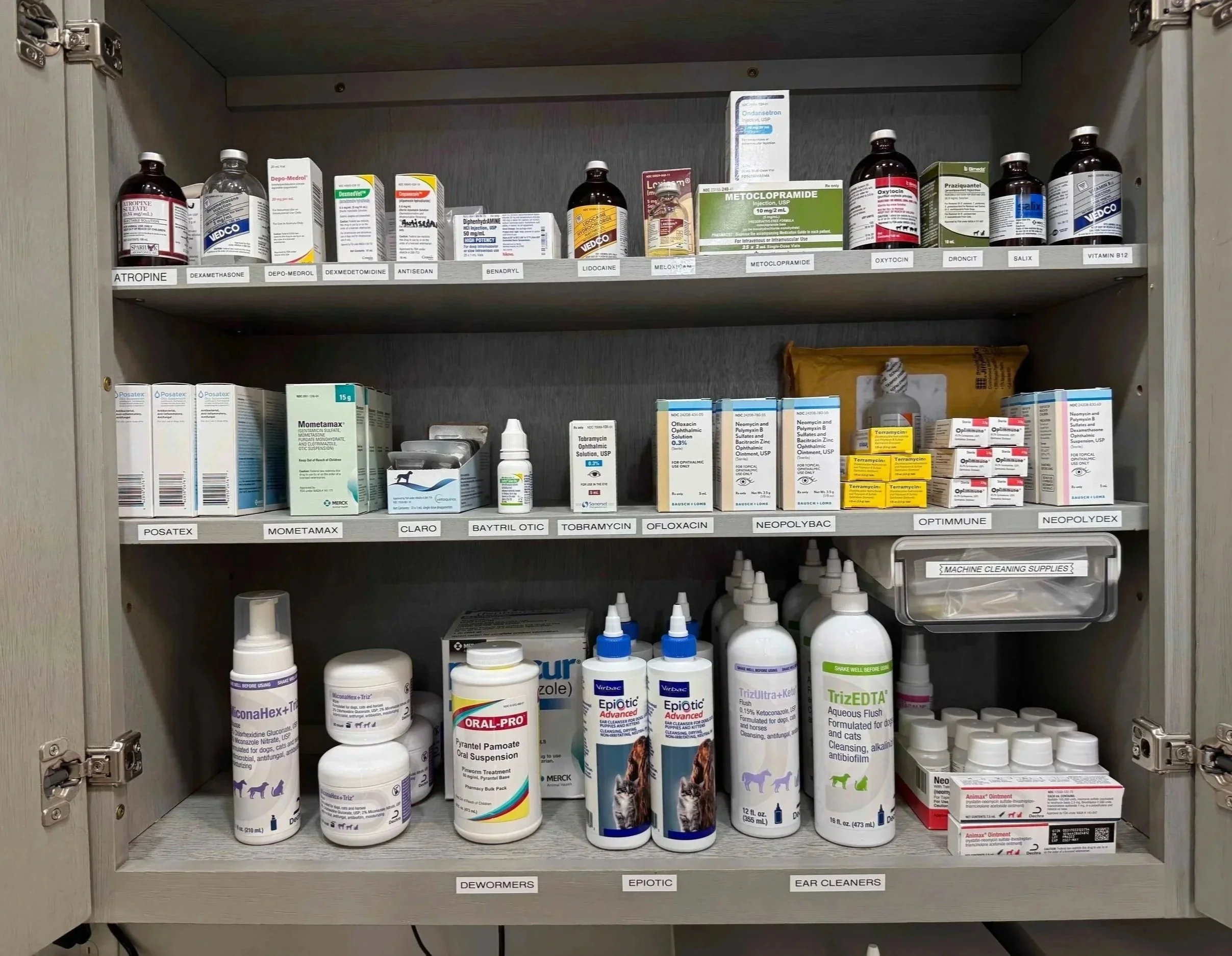 Veterinary medication cabinet used for pet medication guidance at Veterinarian Pet Alliance in Newark, NJ.
