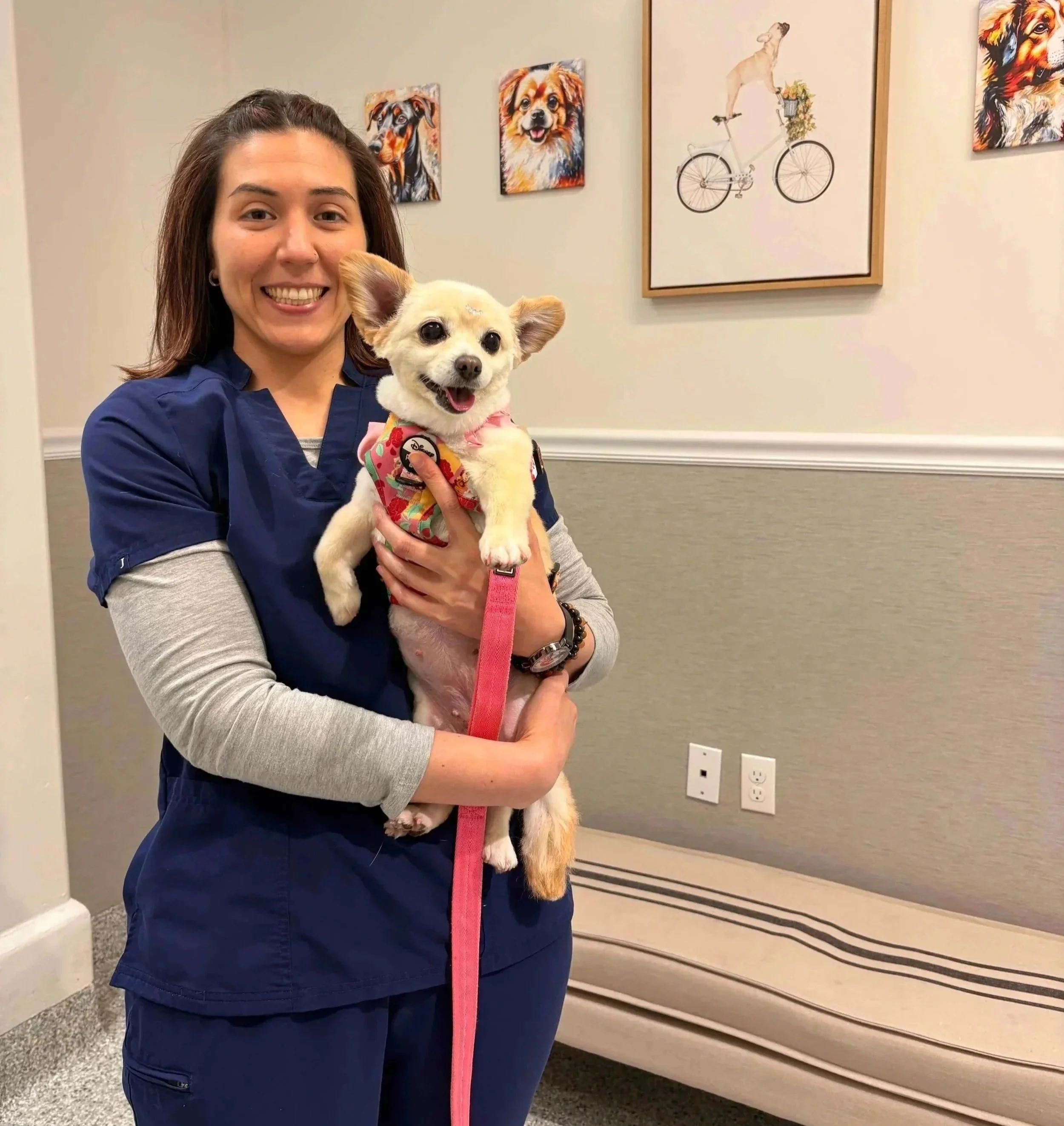 Veterinary team member holding a small dog at Veterinarian Pet Alliance in Newark, NJ for warm pet care.